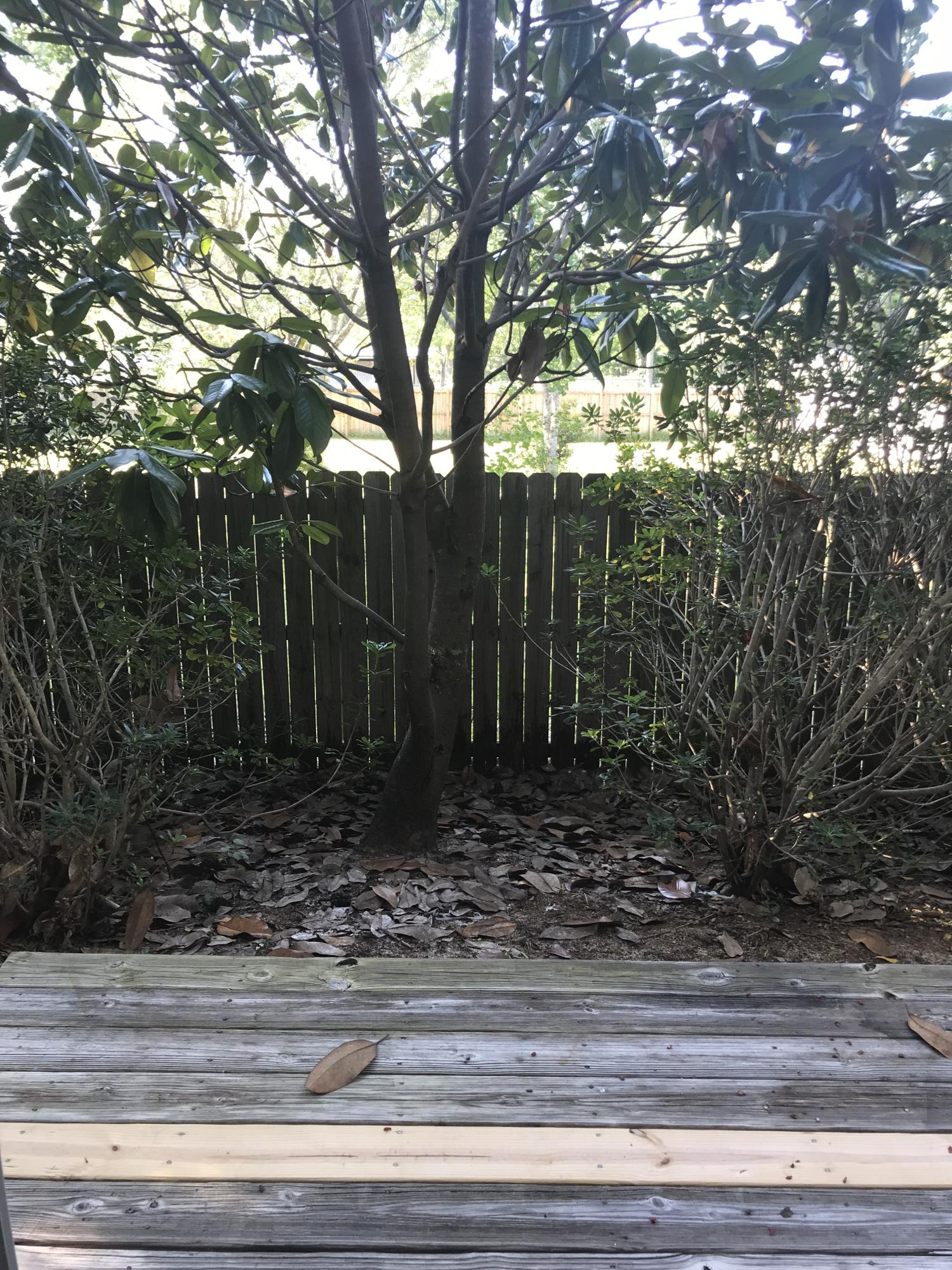 Palms of Freeport - Residential Lease