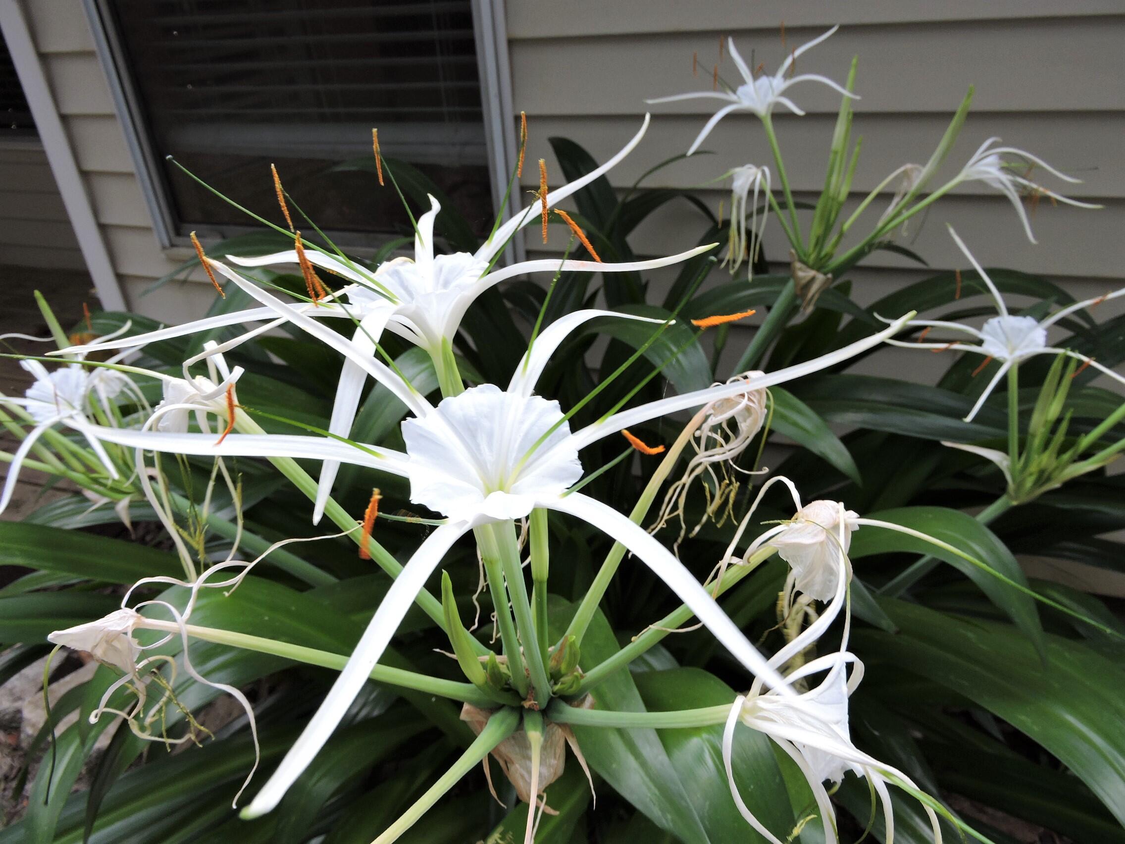 HERITAGE RUN S/D - Residential