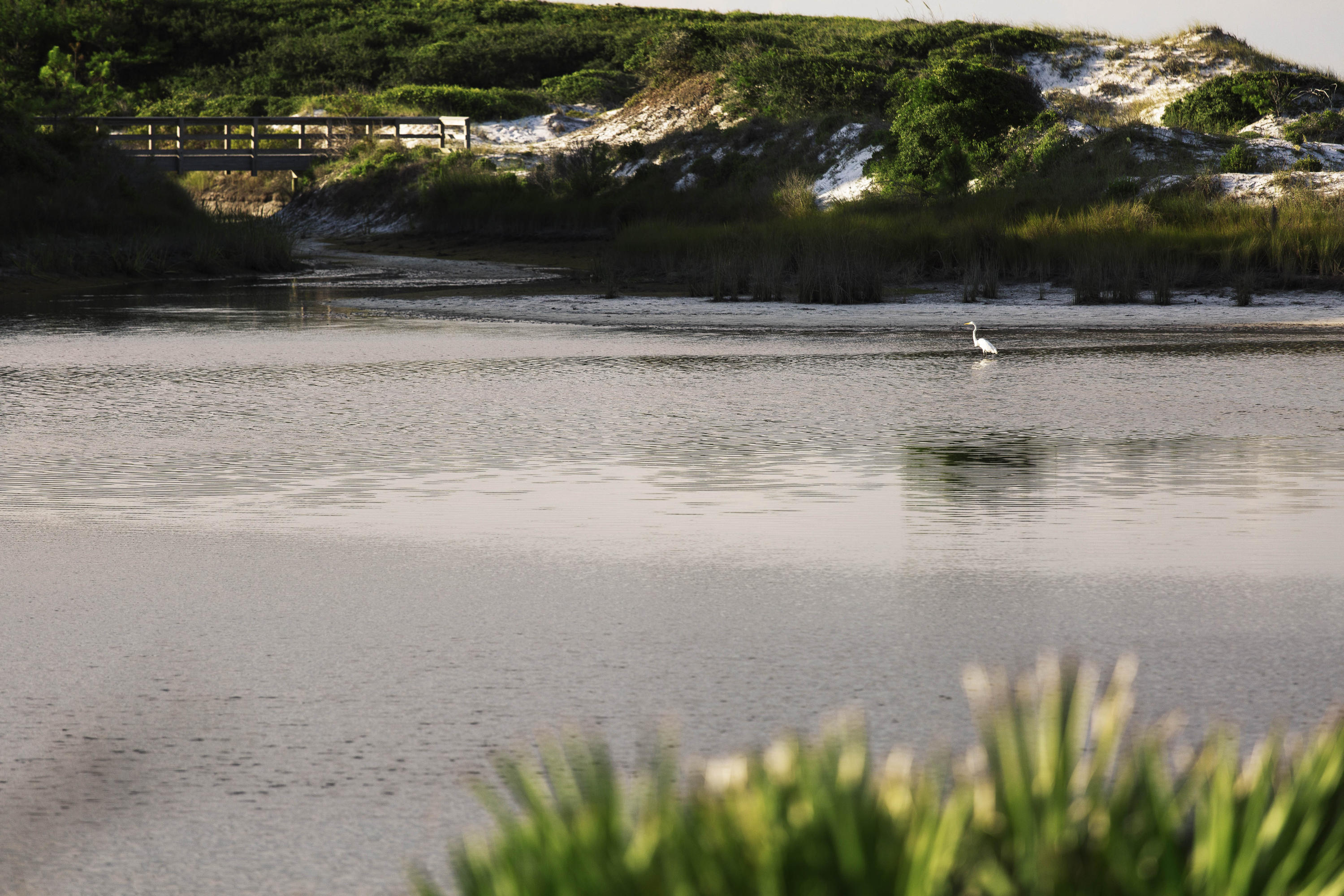 OLD FLORIDA BEACH - Residential