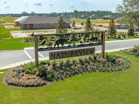 Photo of 85 Natureview Way, Freeport, FL 32439 (MLS # 991646)