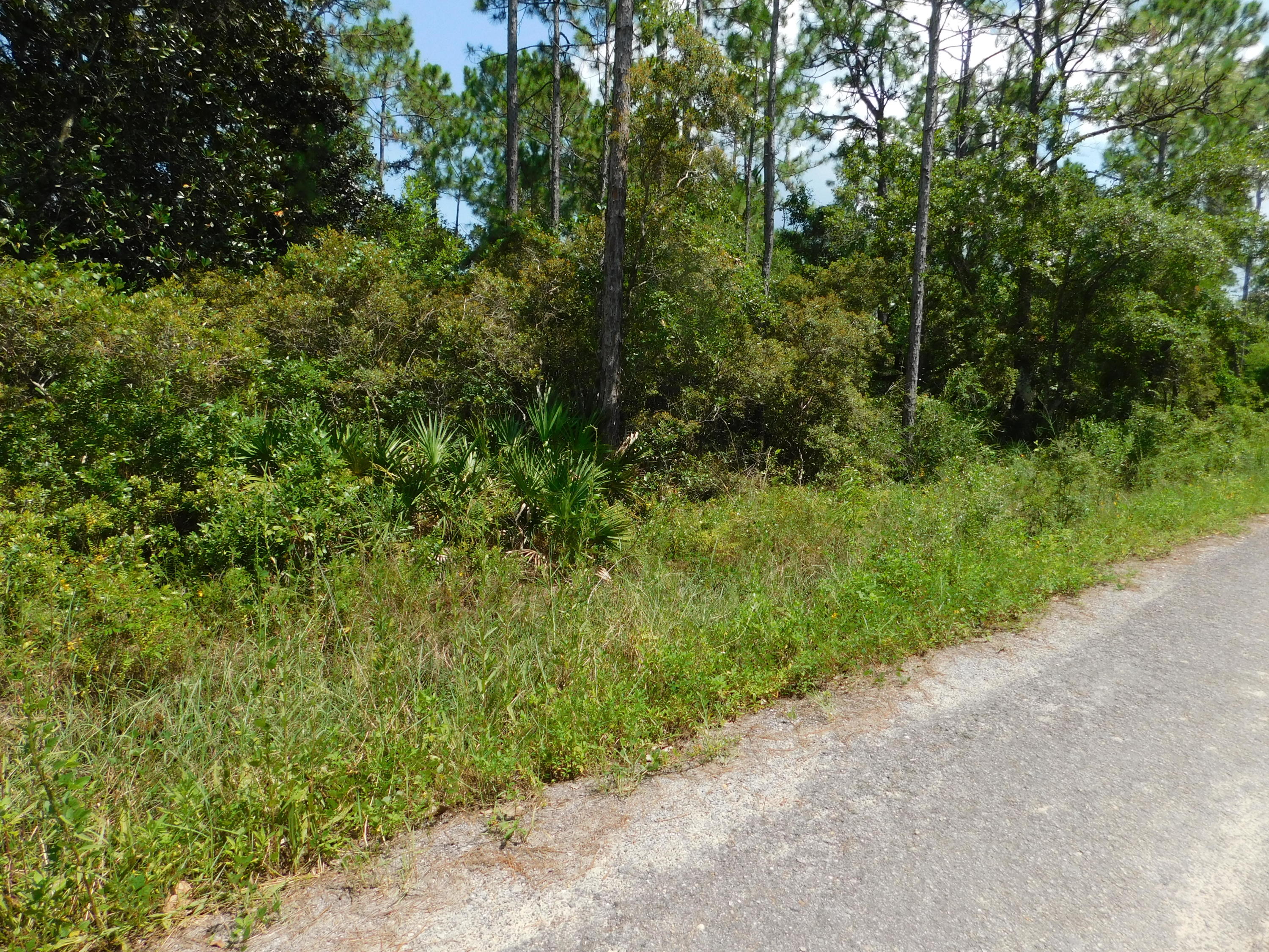 TOWN OF SANTA ROSA - Land