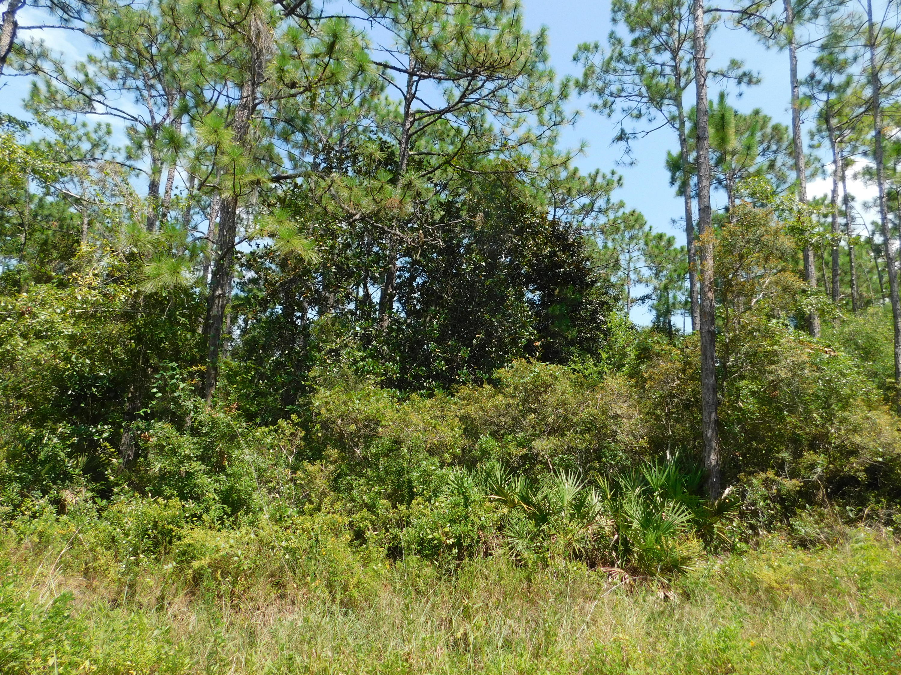 TOWN OF SANTA ROSA - Land