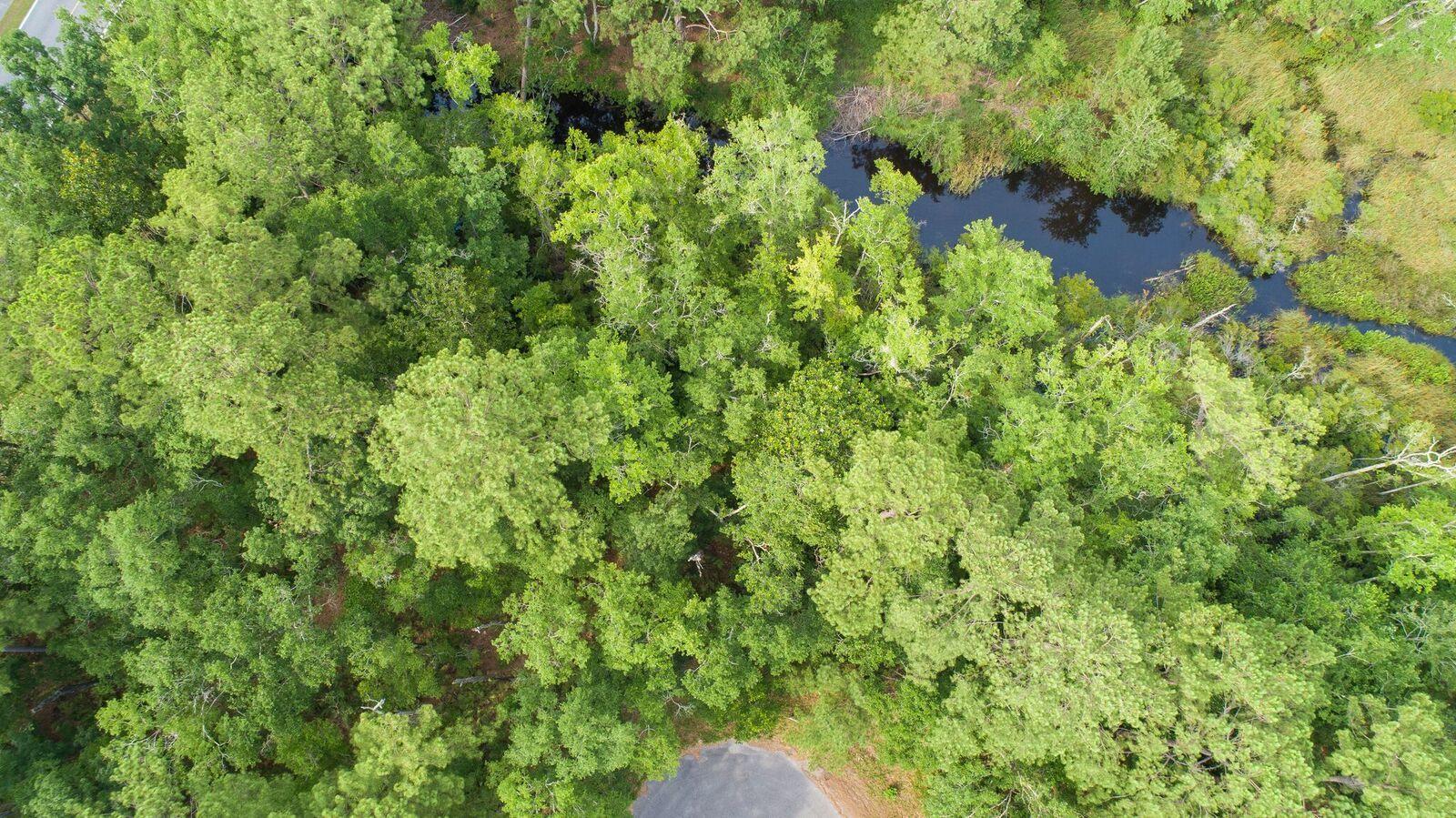 CROSS CREEK SHORES - Land