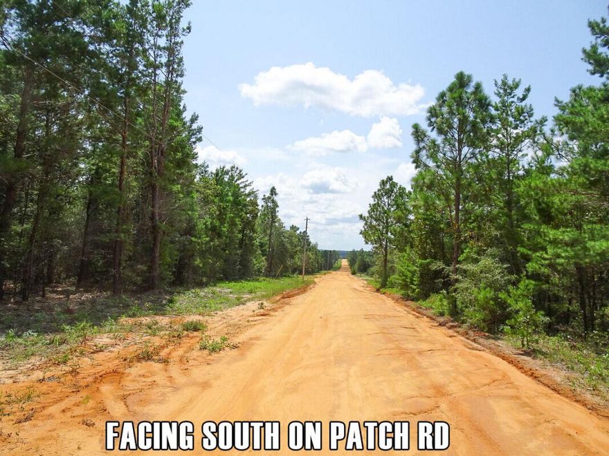Country Lifestyle By The Gulf!This property is perfect for your rural ranch and home site. Located on a maintained dirt road, just about quarter mile from a paved county road.The land is undeveloped and is ready for you to clear your home site amongst the trees. Most neighbors on this road appear to have built their home site behind the trees to enjoy the natural privacy of the forest.Excellent location to enjoy the peace and seclusion of the Florida countryside without being too far away from civilization.You can make it to DeFuniak Springs in 20 minutes or less for access to grocery stores like WalMart, schools, medical care, banks, hardware, post office, etc. You can also head to Crestview 25 minutes away which is a little larger for the same amenities and an airport as well.