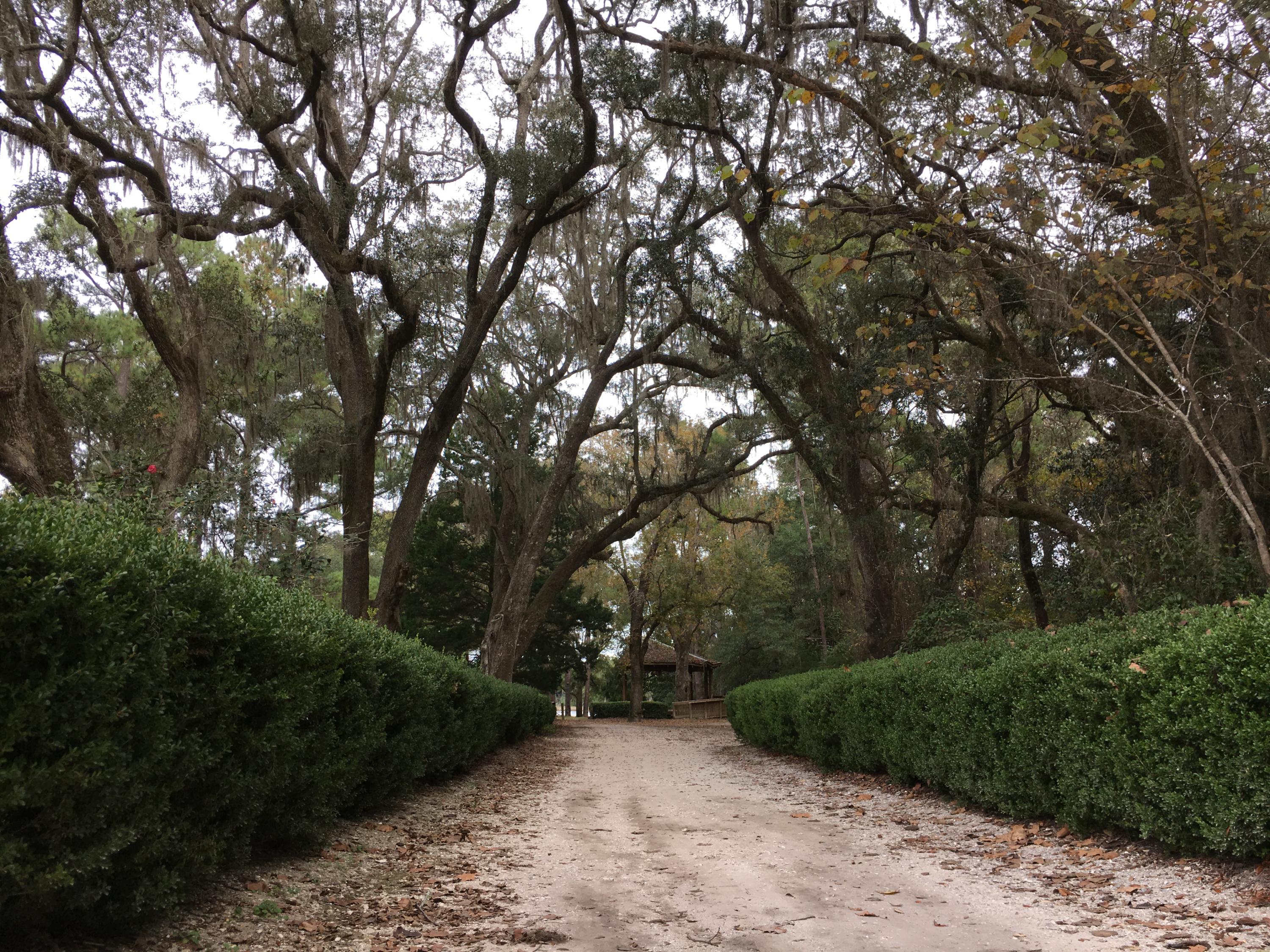 AUDUBON POINT - Residential