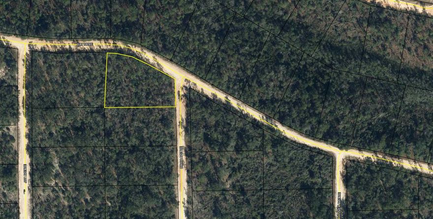 Large 1.237 acre lot in Compass Lake in the Hills. There is a voluntary HOA of $135 a year, but what a great price for all the amenities that are included such as: access to 2 lakes for fishing, tennis, horse stables / riding, rental cabins, RV spots, boat rentals, clubhouse, and a golf range. Being an all-sports lake, enjoy water skiing, tubing, jet skiing, boating, sailing, kayaking & swimming. No need to worry about lunch while out on the water when you have a boat accessible shoreline restaurant. This location is great for someone who enjoys nature and a short drive to the beach since it is located half way between Panama City And Dothan. The area is rich in historical significance, with many restored antebellum plantation homes open for tours or as bed-and-breakfast