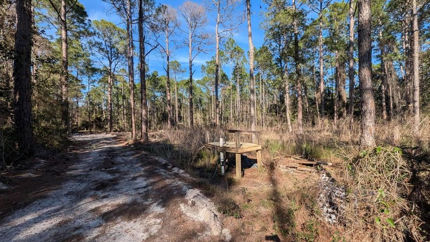 Investors!!! 3 Cleared lots each 50'x125' in Santa Rosa beach off 393. The property is 0.286 of an acre 150'x125'. Survey completed and septic permit in hand for all 3 lots. Lot will need septic and a well, but city water can be brought over from 13th st easily per our engineer. Half a mile to boat launch and 3 miles to the public beach access on 393.