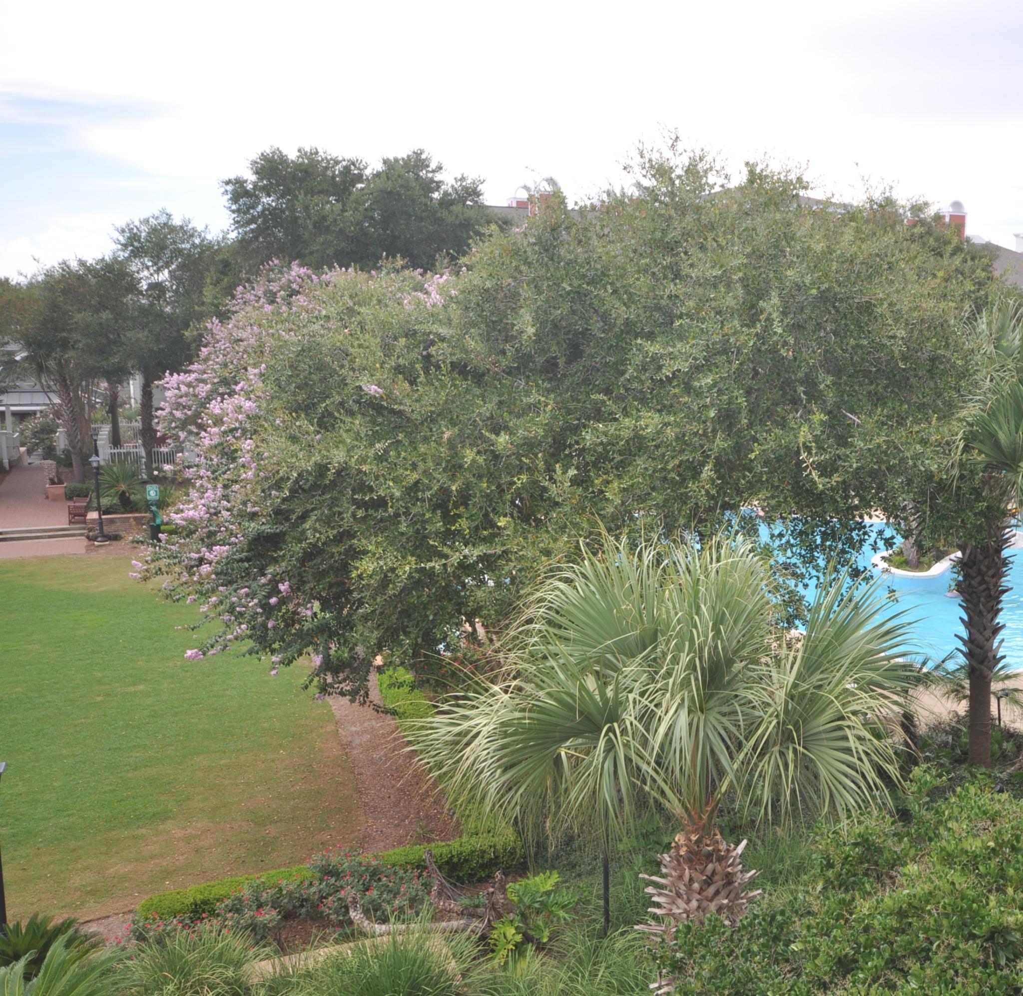 PILOT HOUSE - Residential