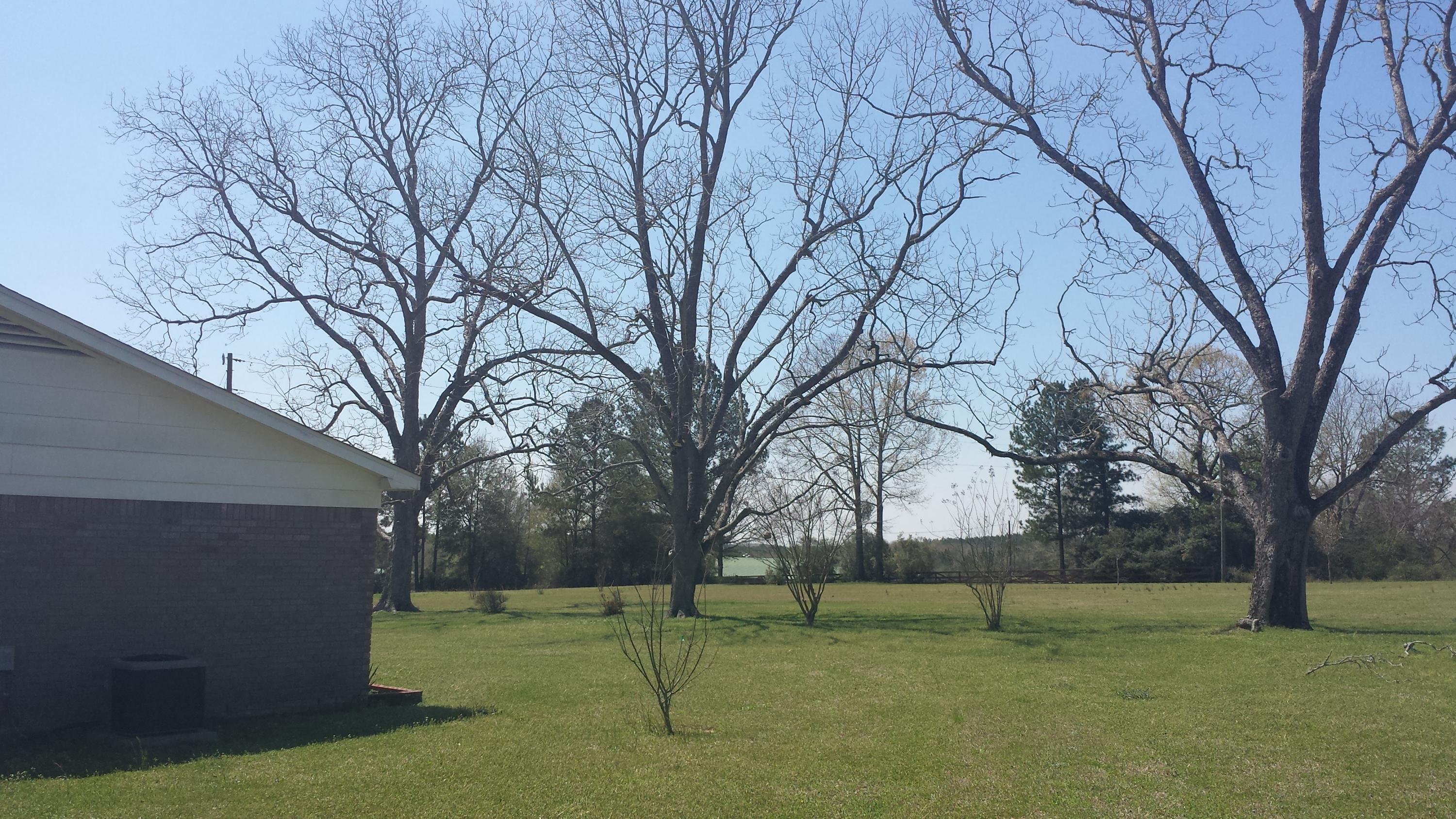 NONESUCH WAY - Residential