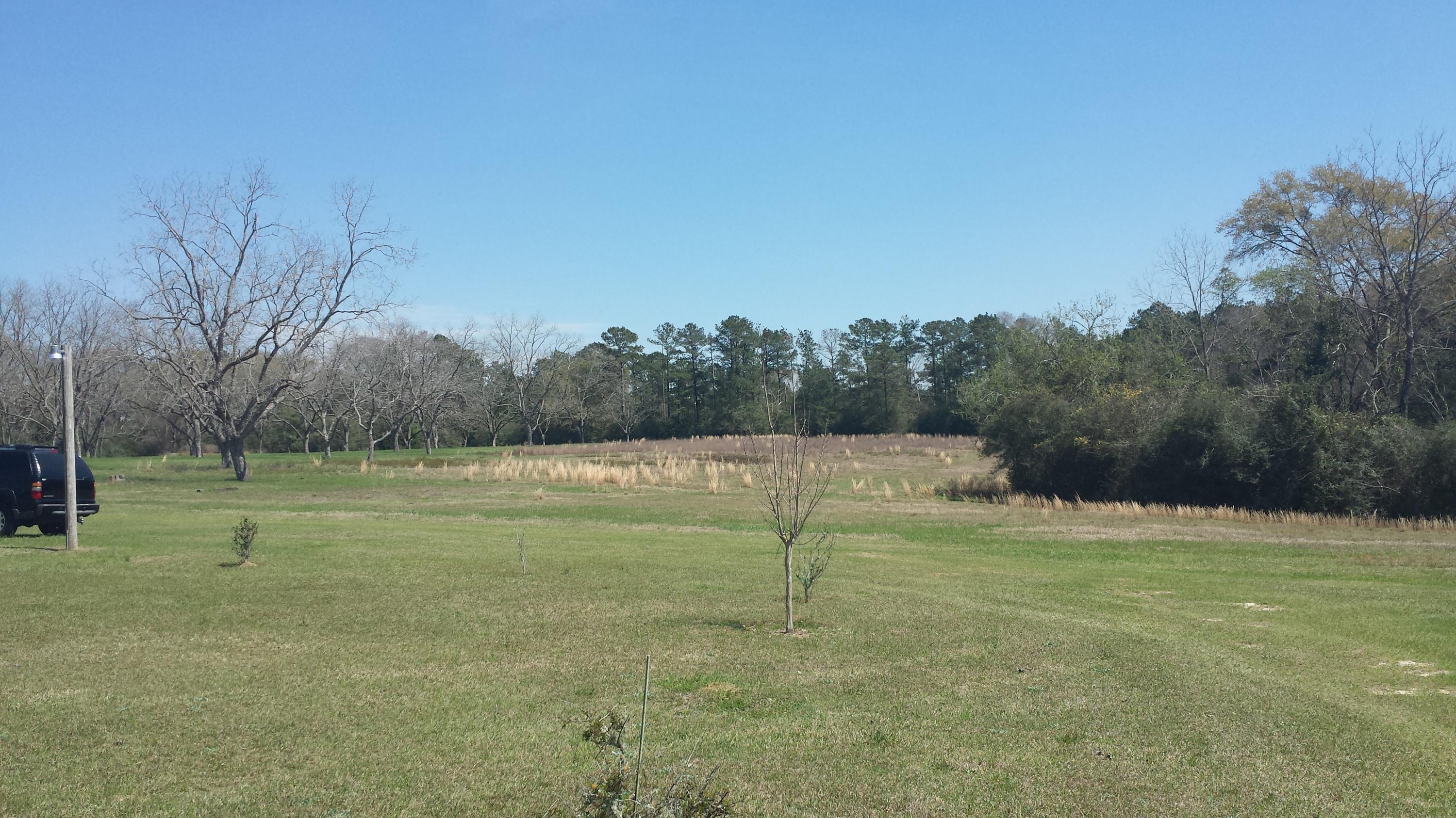 NONESUCH WAY - Residential