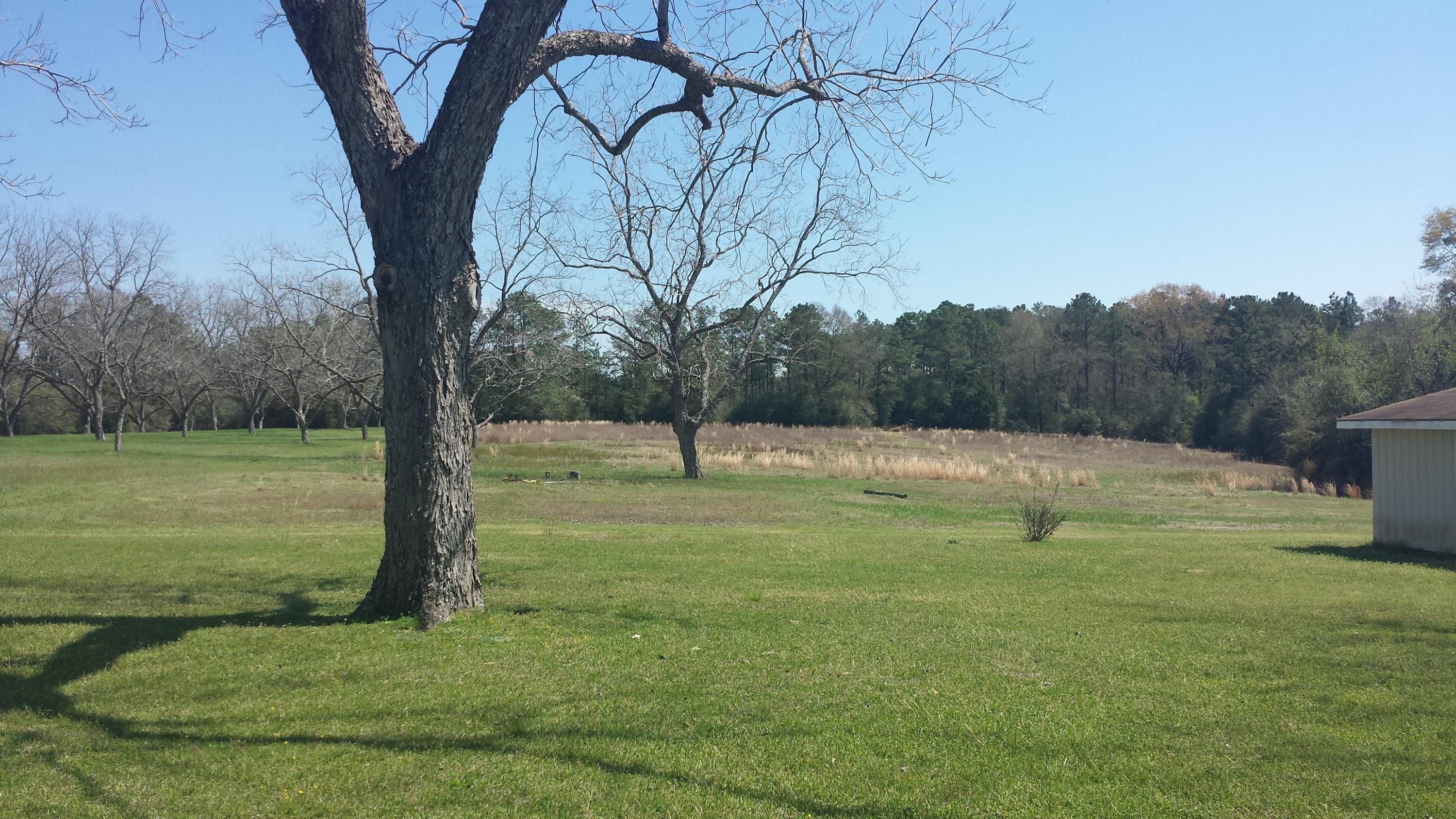 NONESUCH WAY - Residential