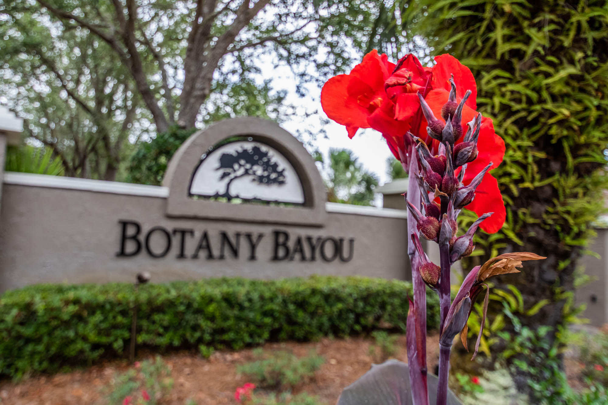 BOTANY BAYOU - Land