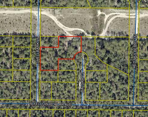 1.09 Acres - High & Dry with Dual AccessDiscover the perfect spot for your next home on this spacious 1.09-acre lot, offering two points of access for convenience and flexibility. The property sits high and dry, providing plenty of options for building or placement. With limited restrictions, you'll have the freedom to bring in a mobile home or design your own vision for the land.Whether you're looking for a private homestead, a future investment, or a weekend getaway, this versatile property is ready for your plans. Don't miss out on the opportunity to own affordable acreage with endless potential!
