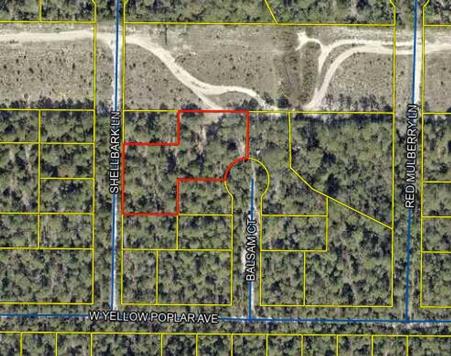1.09 Acres - High & Dry with Dual AccessDiscover the perfect spot for your next home on this spacious 1.09-acre lot, offering two points of access for convenience and flexibility. The property sits high and dry, providing plenty of options for building or placement. With limited restrictions, you'll have the freedom to bring in a mobile home or design your own vision for the land.Whether you're looking for a private homestead, a future investment, or a weekend getaway, this versatile property is ready for your plans. Don't miss out on the opportunity to own affordable acreage with endless potential!