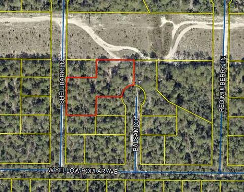 Photo of TBD Shellbark Lane, DeFuniak Springs, FL 32433 (MLS # 983851)