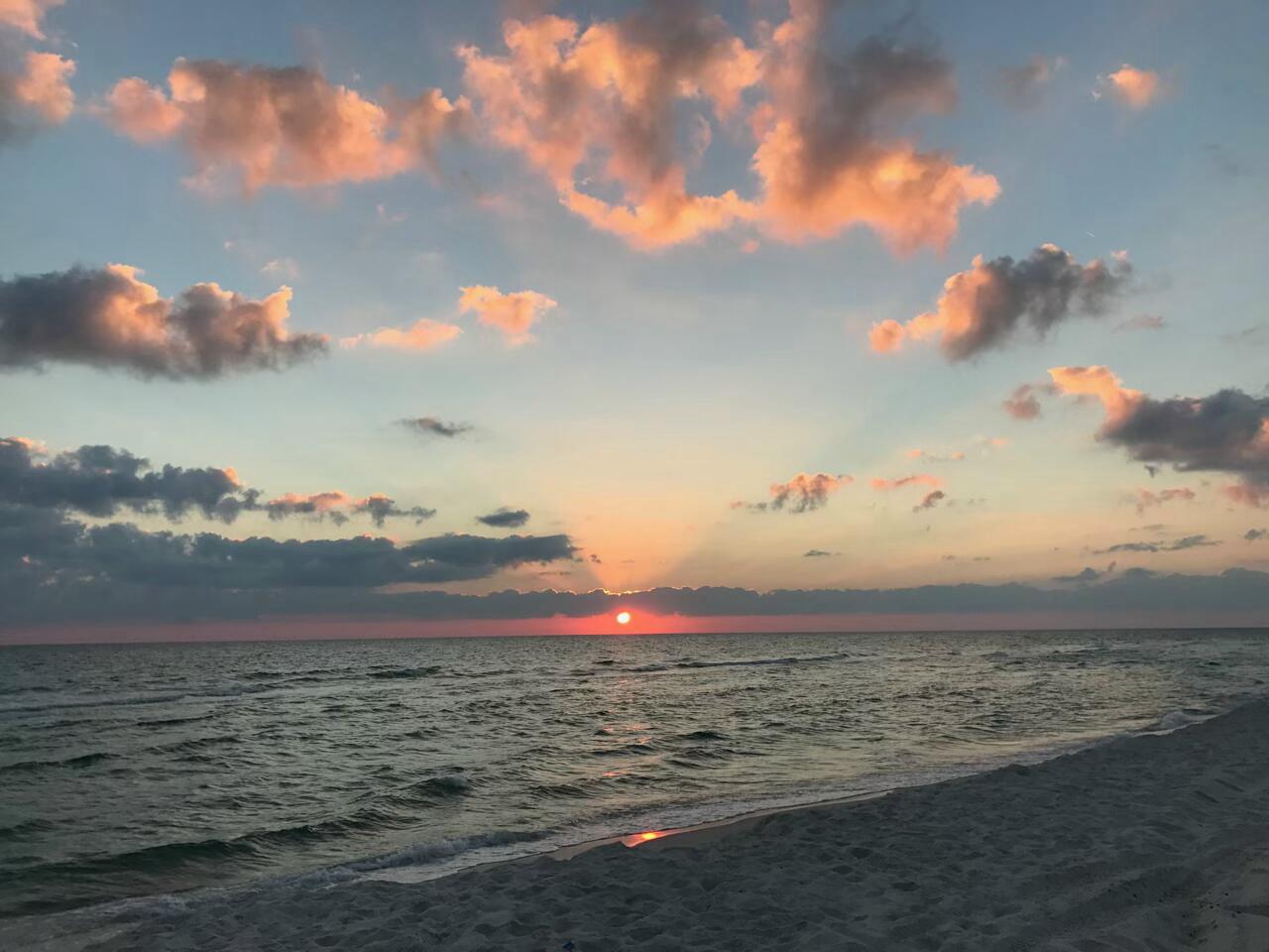 Palms at Inlet Beach - Land