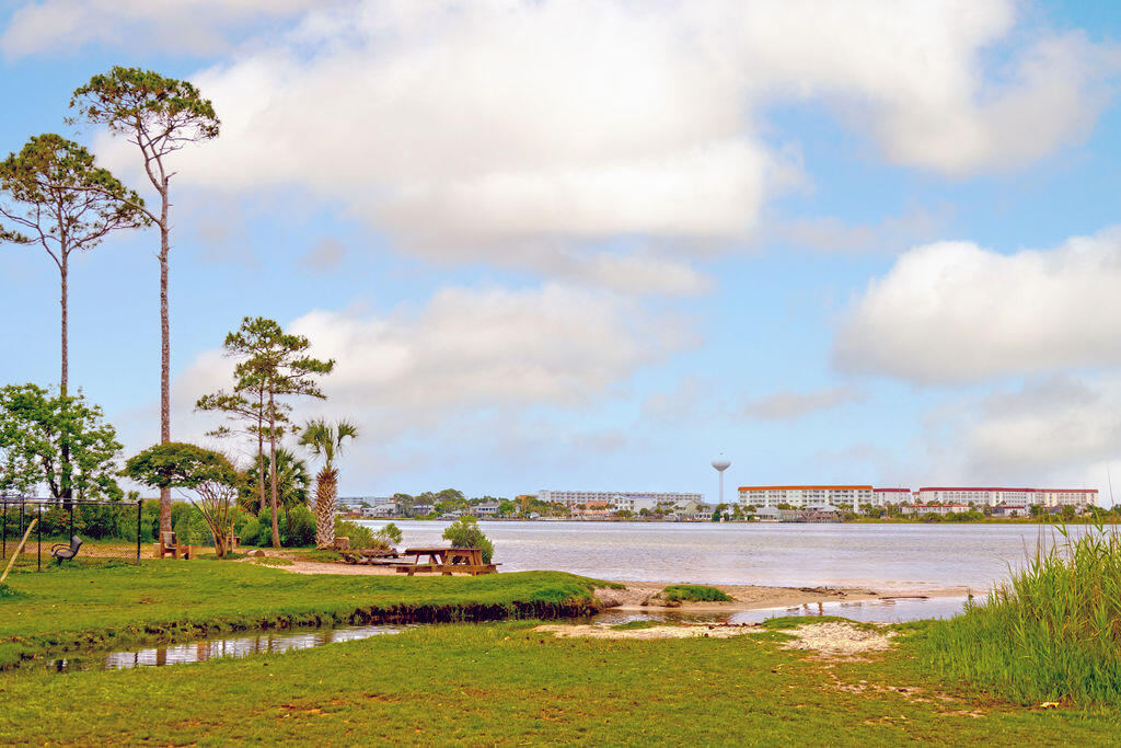 HONEYTREE - Residential