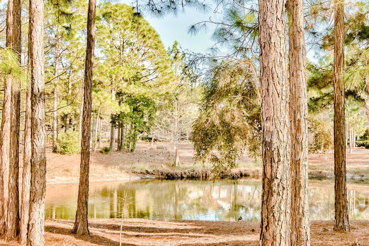 LAUREL GROVE - Residential