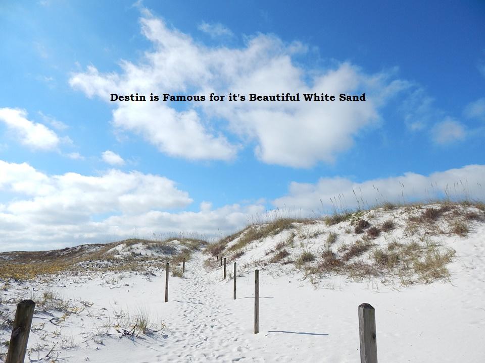 DESTIN POINTE - Residential