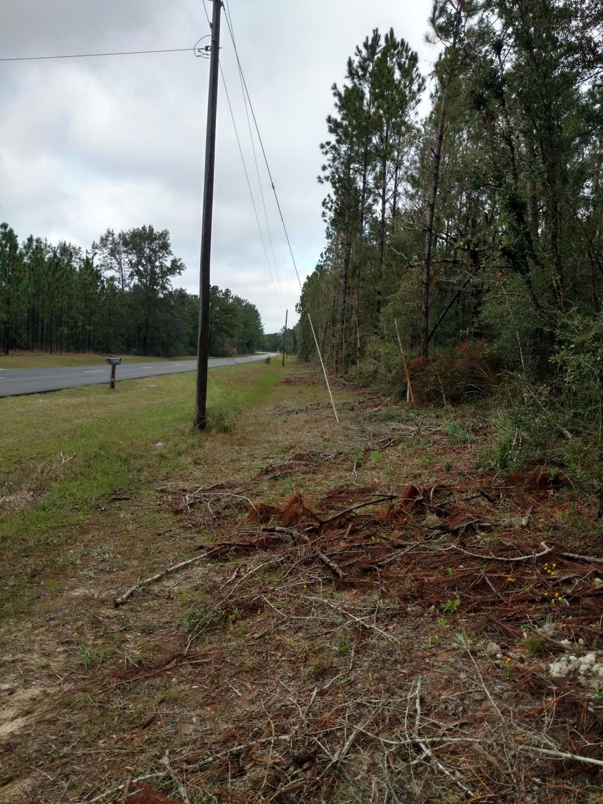 Nice quite area. Lots of wildlife, deer, and turkey.Planted pine trees. Not to far from Ponce De Leon Springs State Park and Walon Counties Morrison Springs.