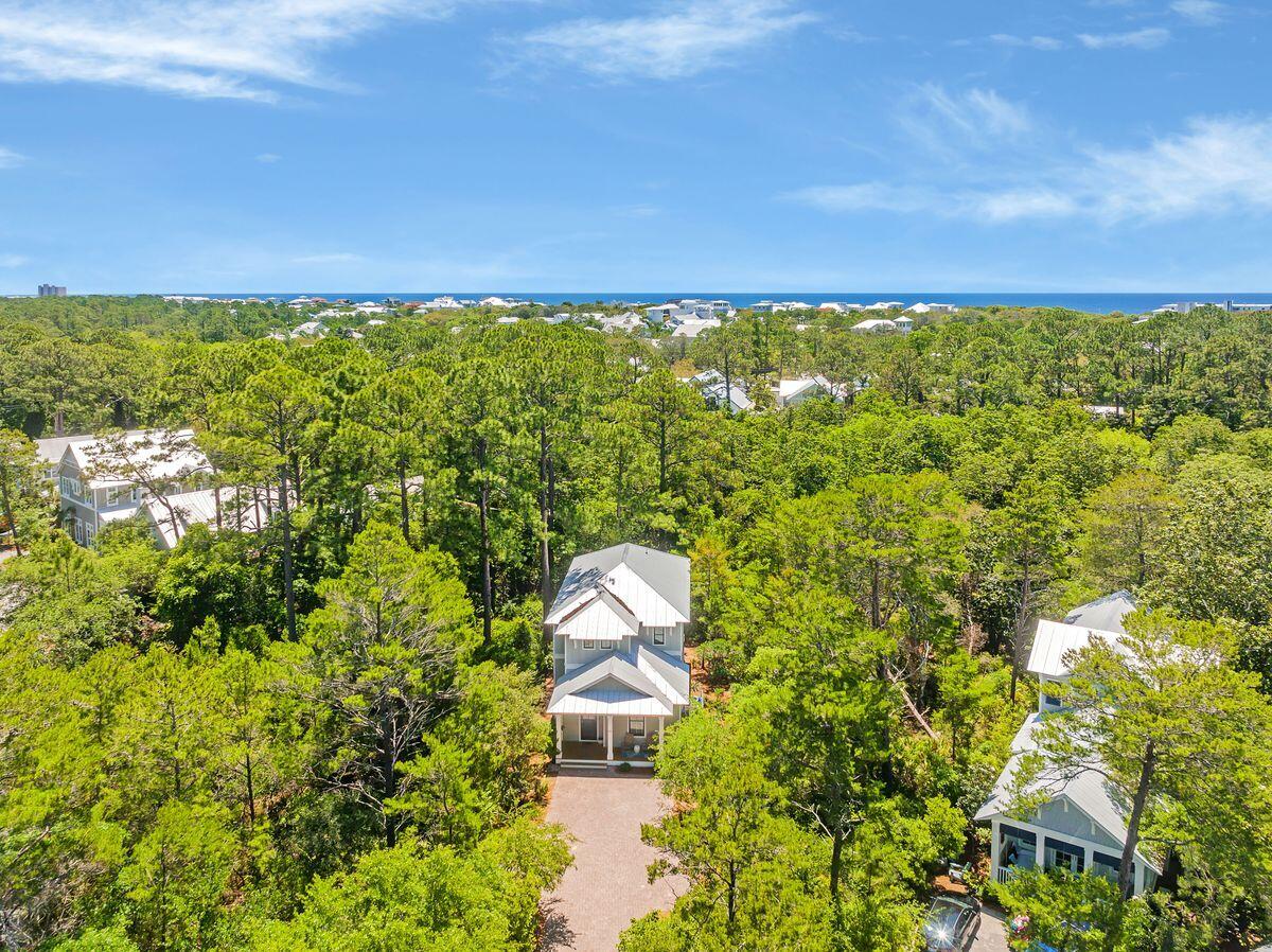 THE HAMMOCKS OF SEAGROVE - Residential