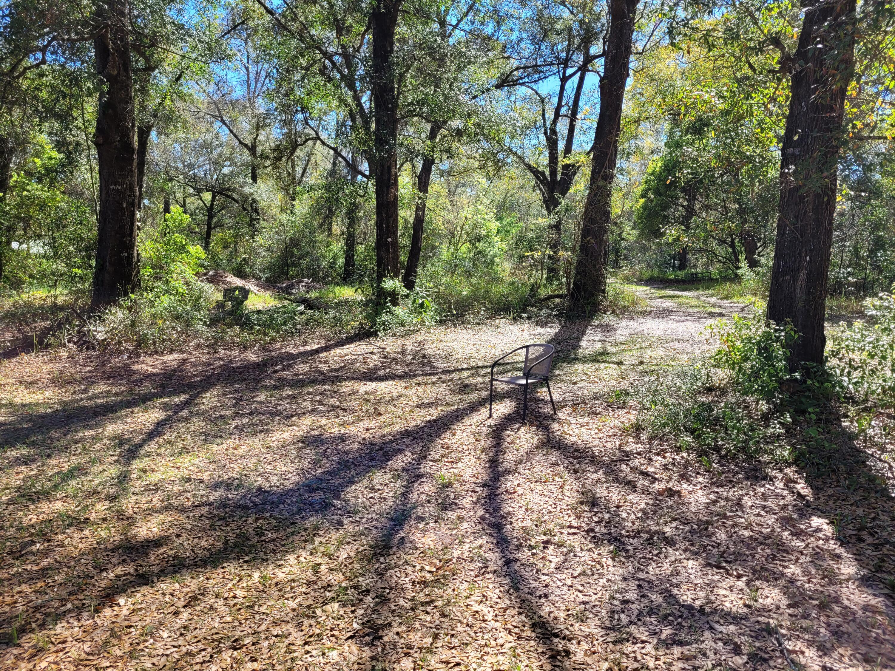 Yes, you can purchase 2.5 commercial acres in the City Limits of Freeport for $150,000.Perfect for a business that does not need road visibility. Future Land Use of Mixed Use (MU) allows a residence plus business.Flood Zone X. Several magnificent oak trees grace the property. A 25 ft wide easment will be provided to the new owner for access from N. Jackson St. via Pecan Dr.