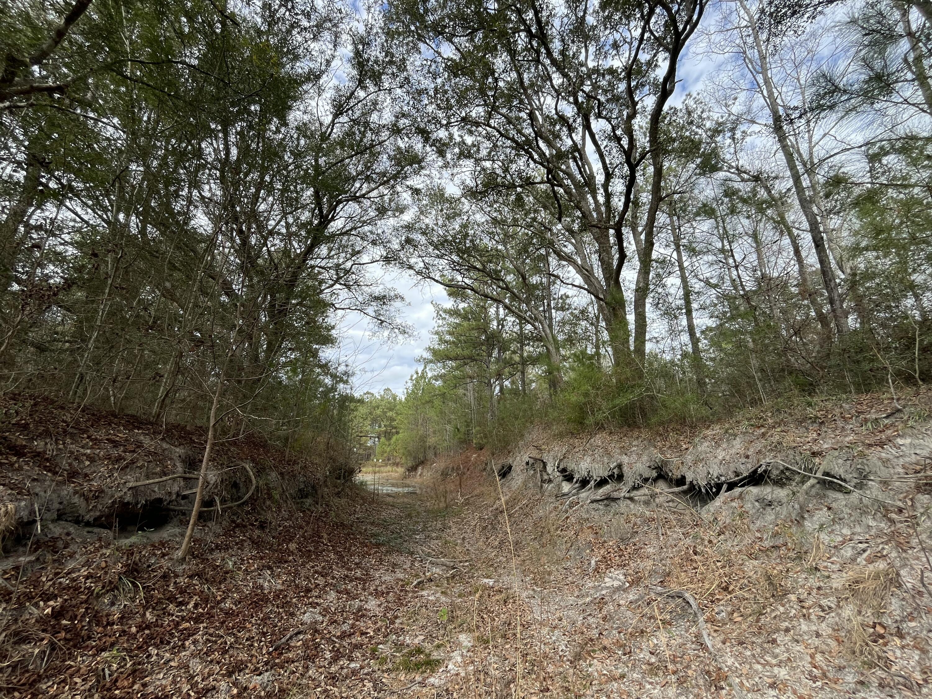 METES & BOUNDS - Land