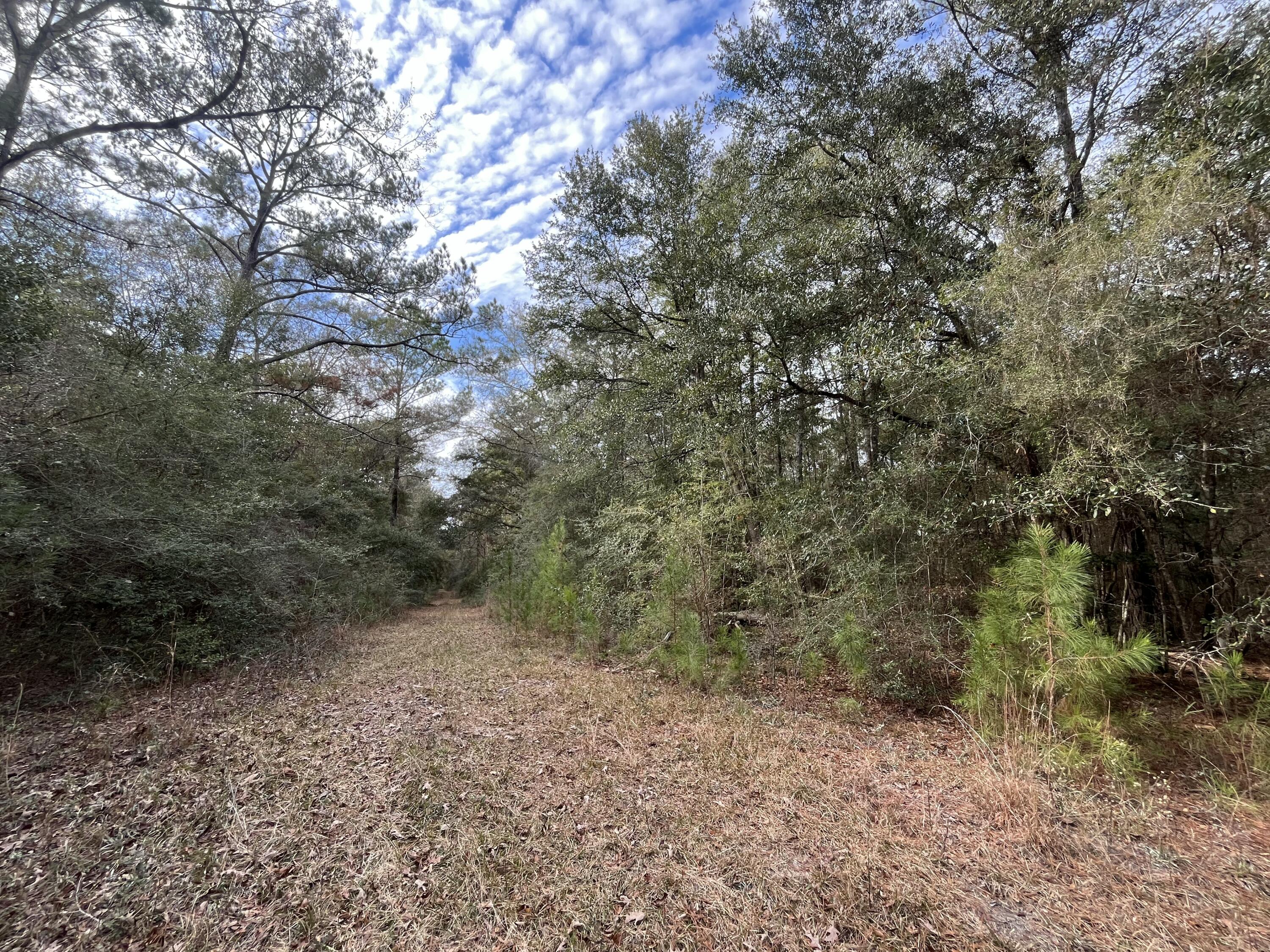 METES & BOUNDS - Land