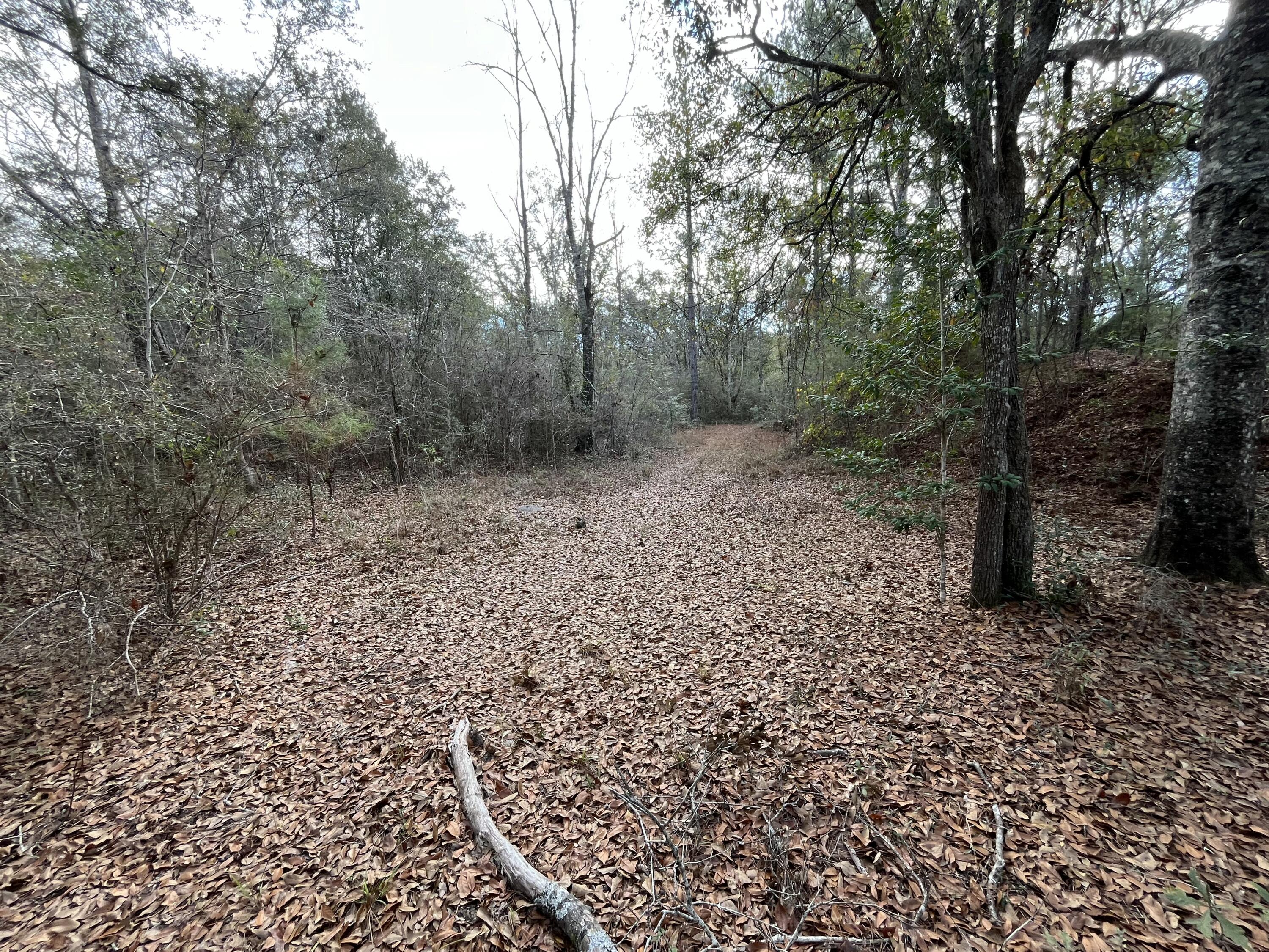 METES & BOUNDS - Land