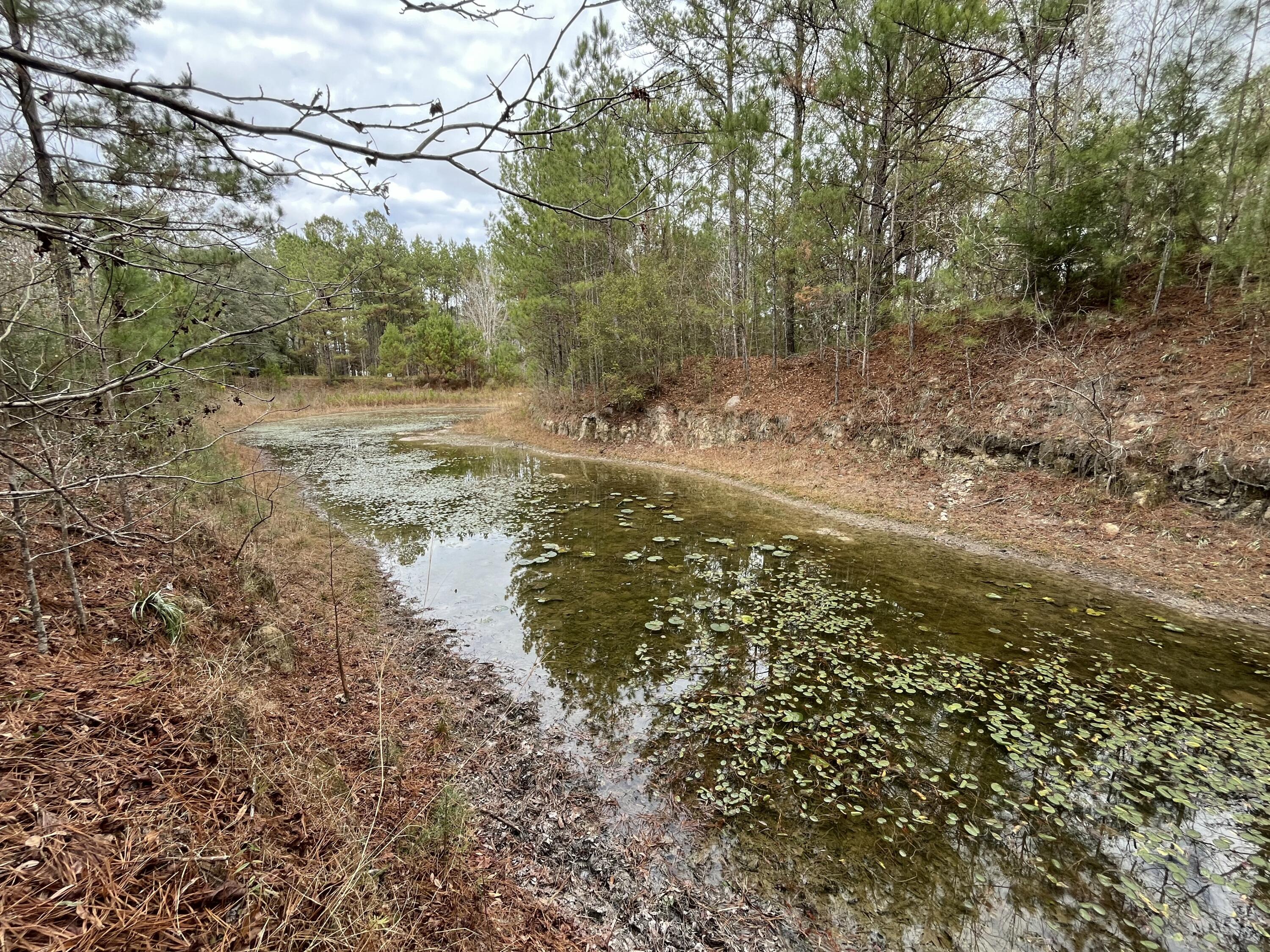 METES & BOUNDS - Land