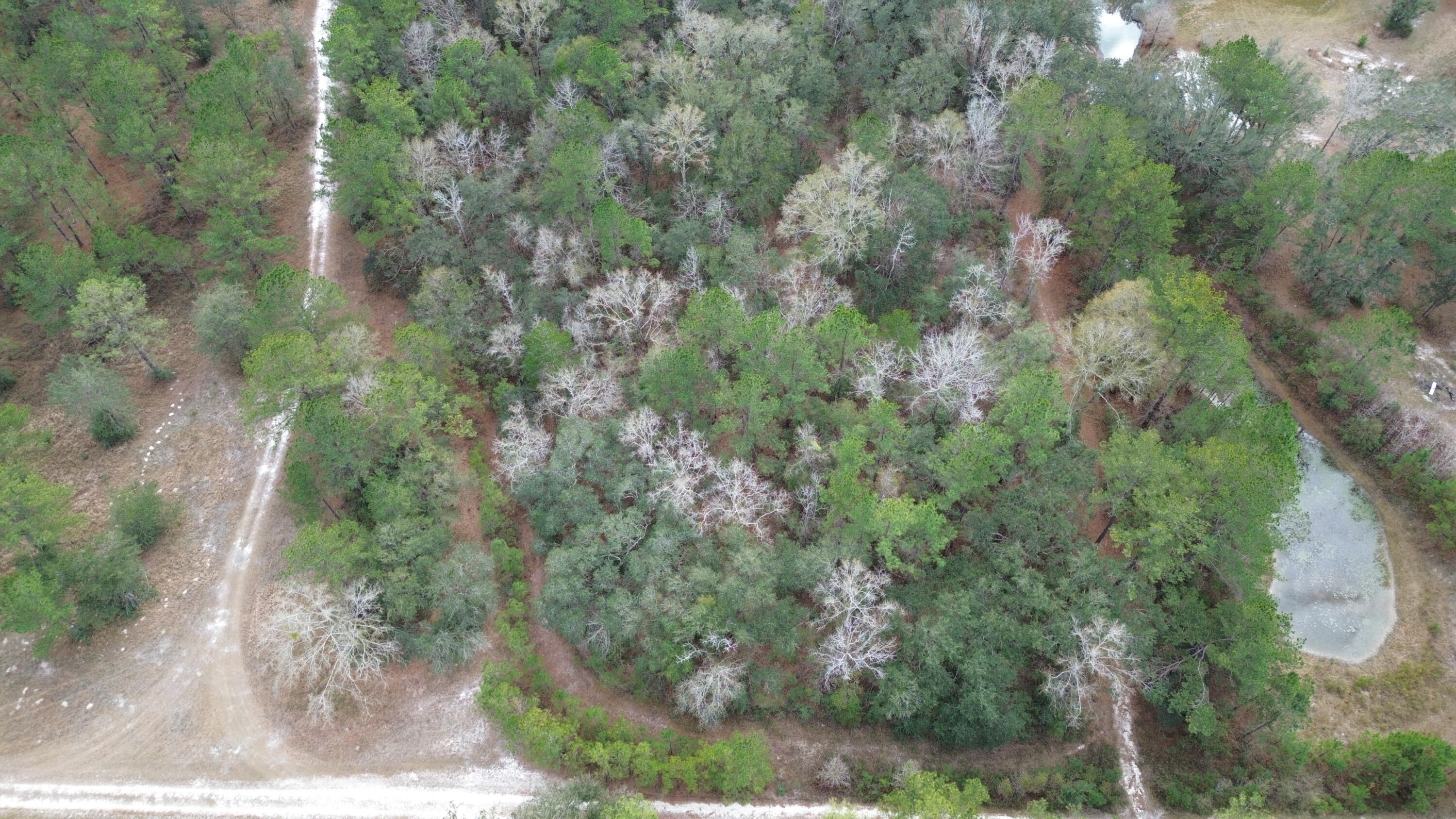 METES & BOUNDS - Land