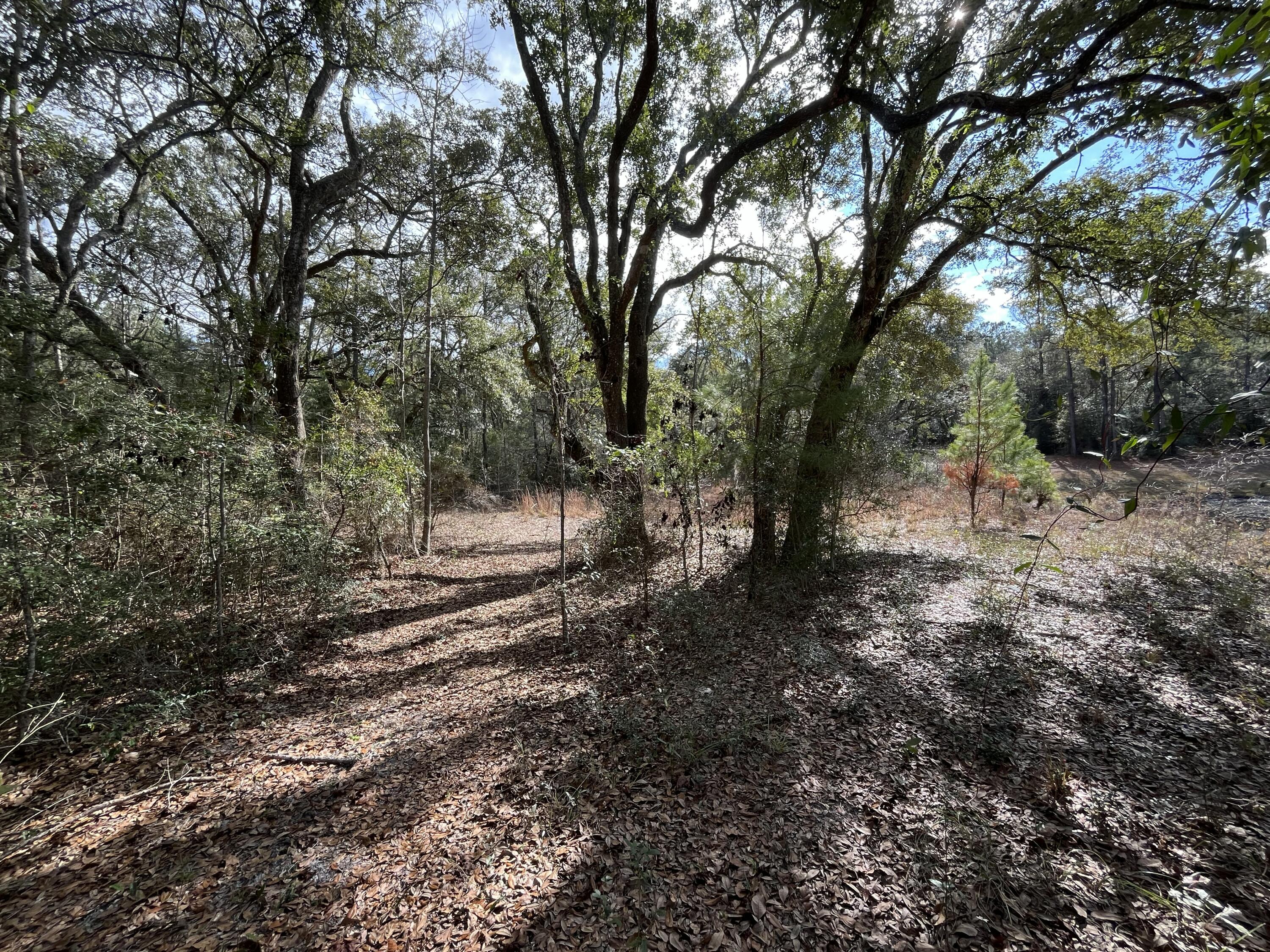 METES & BOUNDS - Land