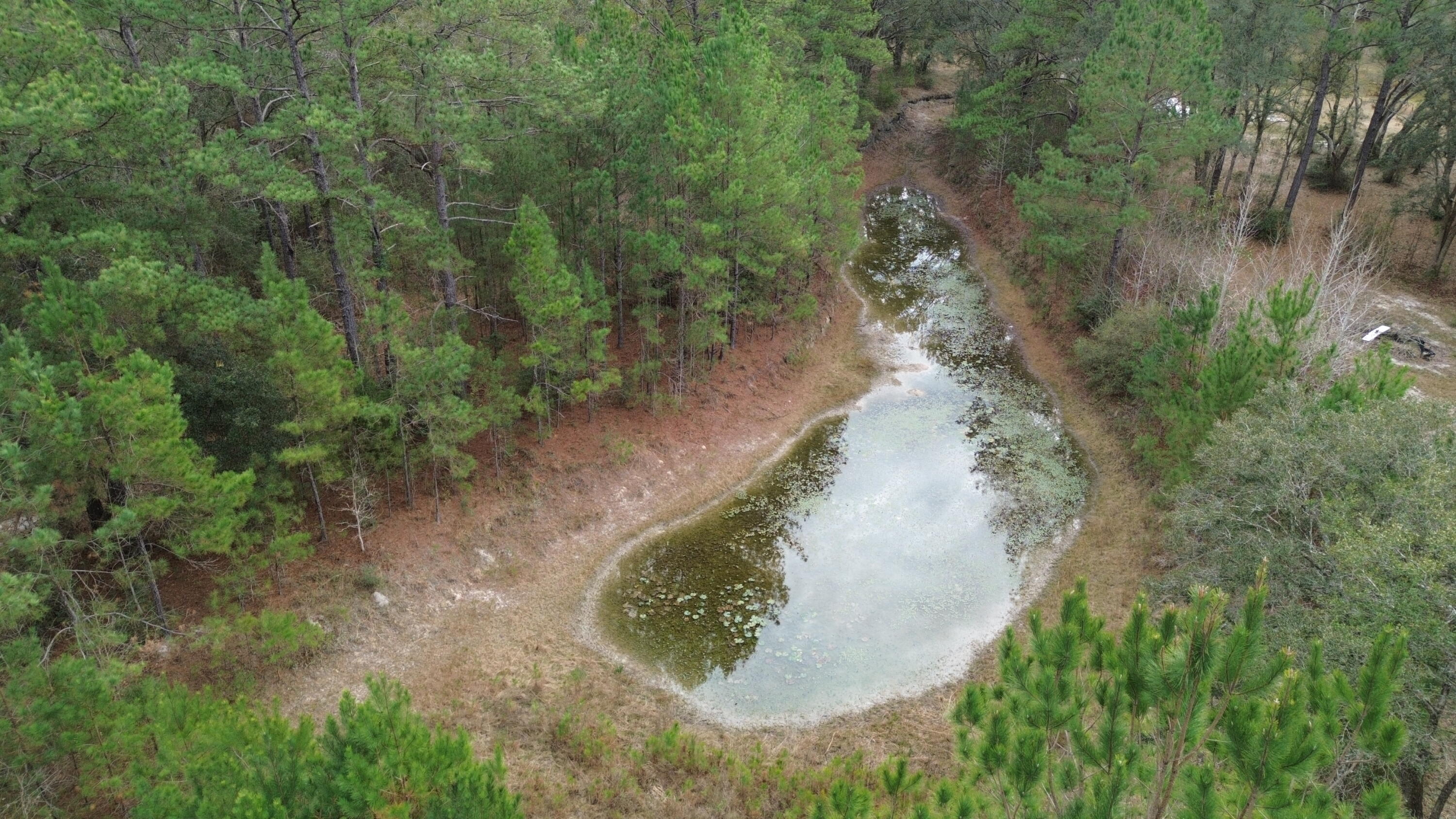 METES & BOUNDS - Land