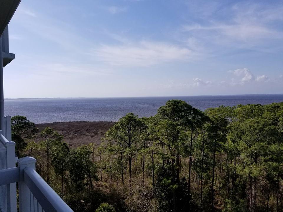 ELATION - Residential