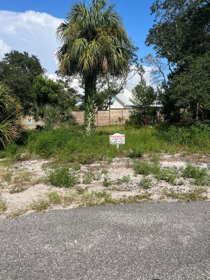 POTENTIAL GULF VIEW!! INVESTOR OPPORTUNITY IN BLUE MOUNTAIN BEACH!! Premium Vacant Lot available in the highly desired area of Blue Mountain Beach on West end of the Scenic 30A corridor. Ideal for 2nd Home or Vacation Rental. Quiet neighborhood. No build out time. NO HOA FEES. 400-yard walk to the beach. Water and sewer available. Flood Zone X. Easy walkability to beach, restaurants, shopping & live music. Owners also have the option to join The Village of Blue Mountain just steps away next door for access to pool & amenities. Just 3 miles west of Seaside and 7 miles east of Destin. Come experience all that 30A has to offer - incredible beaches, miles of bike trails, state parks, preserves & state forests, coastal dune lakes, great restaurants, world class shopping and much more.