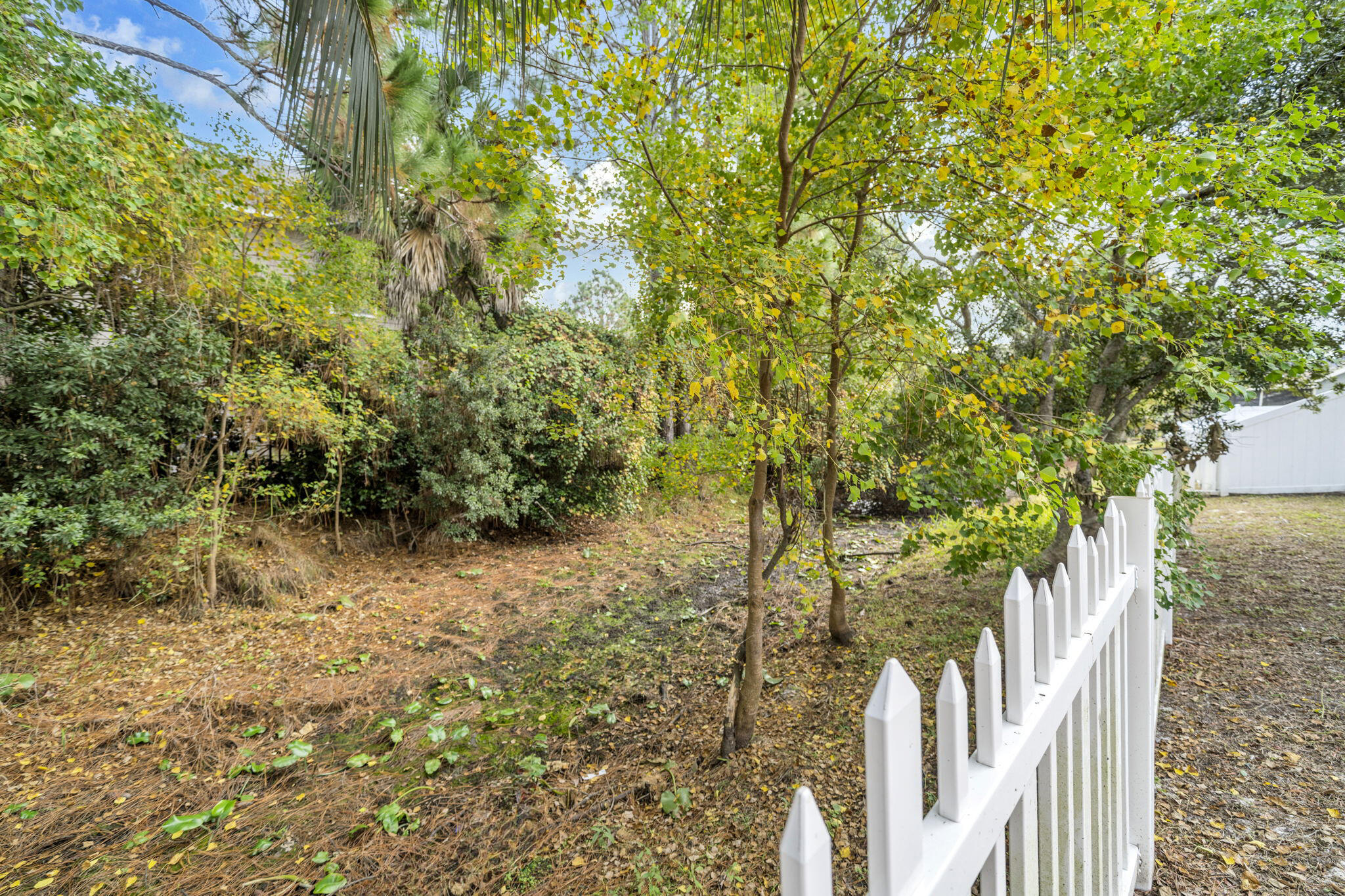 OLDE FLORIDA LAKES PH II - Residential