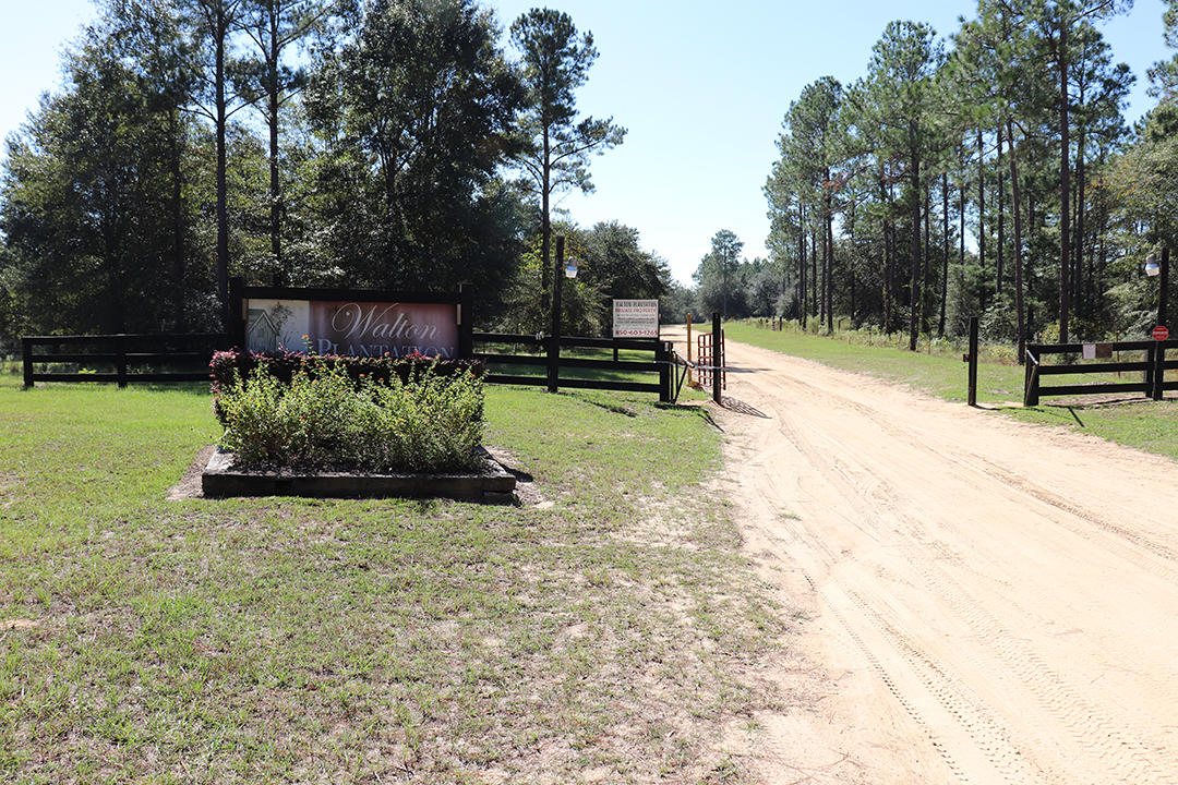 This is the perfect place to ''get away from it all'' within 30 minutes of civilization. From here, you're an easy ride to restaurants, shopping, and groceries in Crestview or Florala and just one hour to the white-sand beaches of South Walton or Destin. Walton Plantation is a private gated community offering the outdoorsman, hunter and recreation enthusiast a spectacular opportunity to build their dream home. Whether you like to hunt, ride, walk, photography, garden or just want a quiet place to get away. This 15 acre parcel is priced to sell. Included in the 6900 original acres of Walton Plantation are 145 privately owned parcels, access to a rustic outdoor chapel for owners use, public restrooms, ponds for fishing, a community garden, ATV riding trails, equestrian trails & a hunting clu