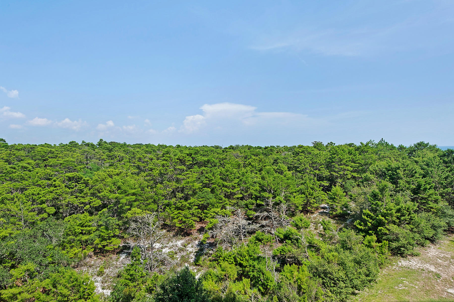 SUMMIT AT TOPS'L (THE) - Residential