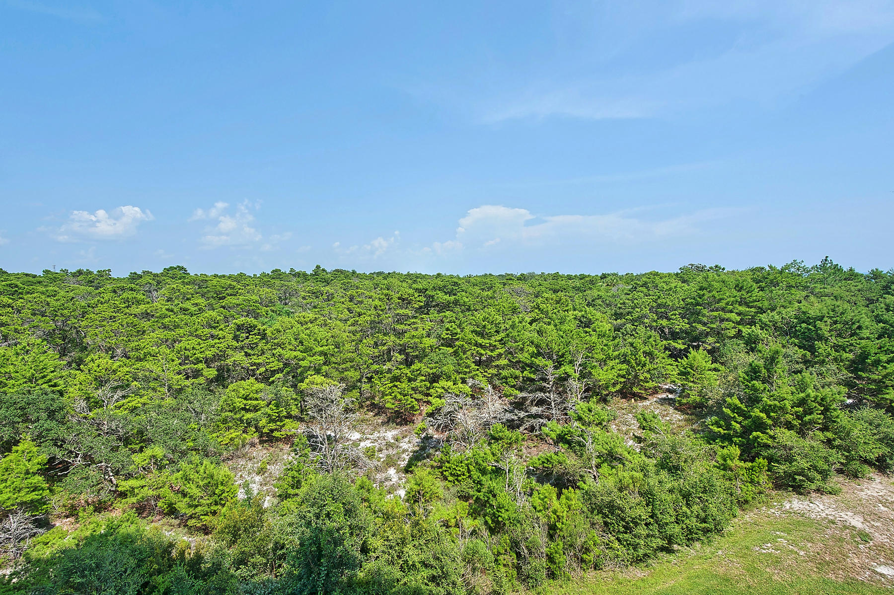 SUMMIT AT TOPS'L (THE) - Residential