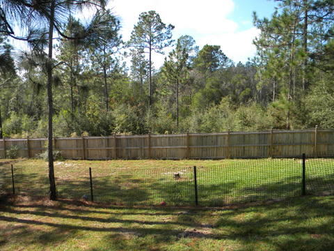 Yellow River Plantation - Residential