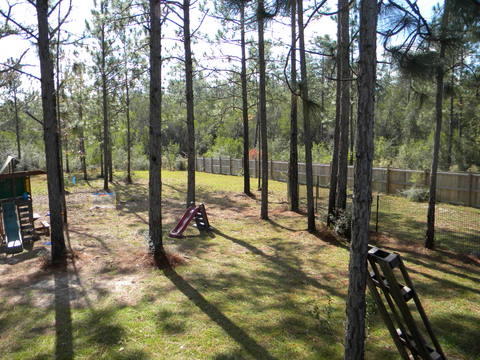 Yellow River Plantation - Residential