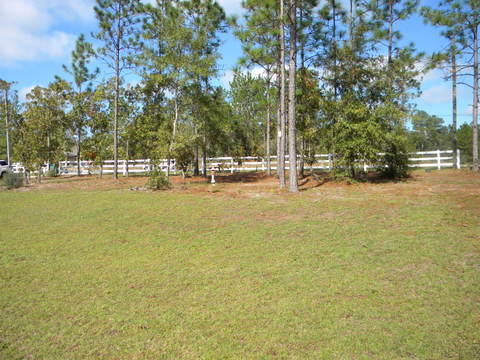 Yellow River Plantation - Residential