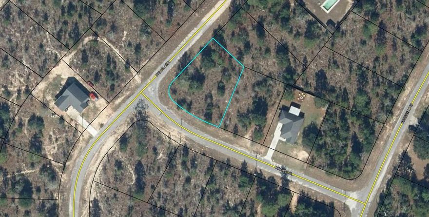 Nice .318 acre corner lot. Sunny Hills is an established subdivision with over 20K lots and is currently being developed with several national builders. Subdivision offers an 18 hole golf course with Clubhouse, numerous lakes with white sandy beaches for recreational activities such as swimming, boating, and fishing, churches, best of all with NO HOA fees! Need city life? Panama City Beach. Northwest Florida Beaches International Airport, and Pier Park shopping are approximately a 45 minutes drive. Approx. 20 miles from local shopping, medical, and other local amenities in Chipley. Electricity and water at the road in front of lot according to county. Septic is needed