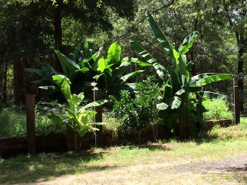 NONESUCH WAY - Residential