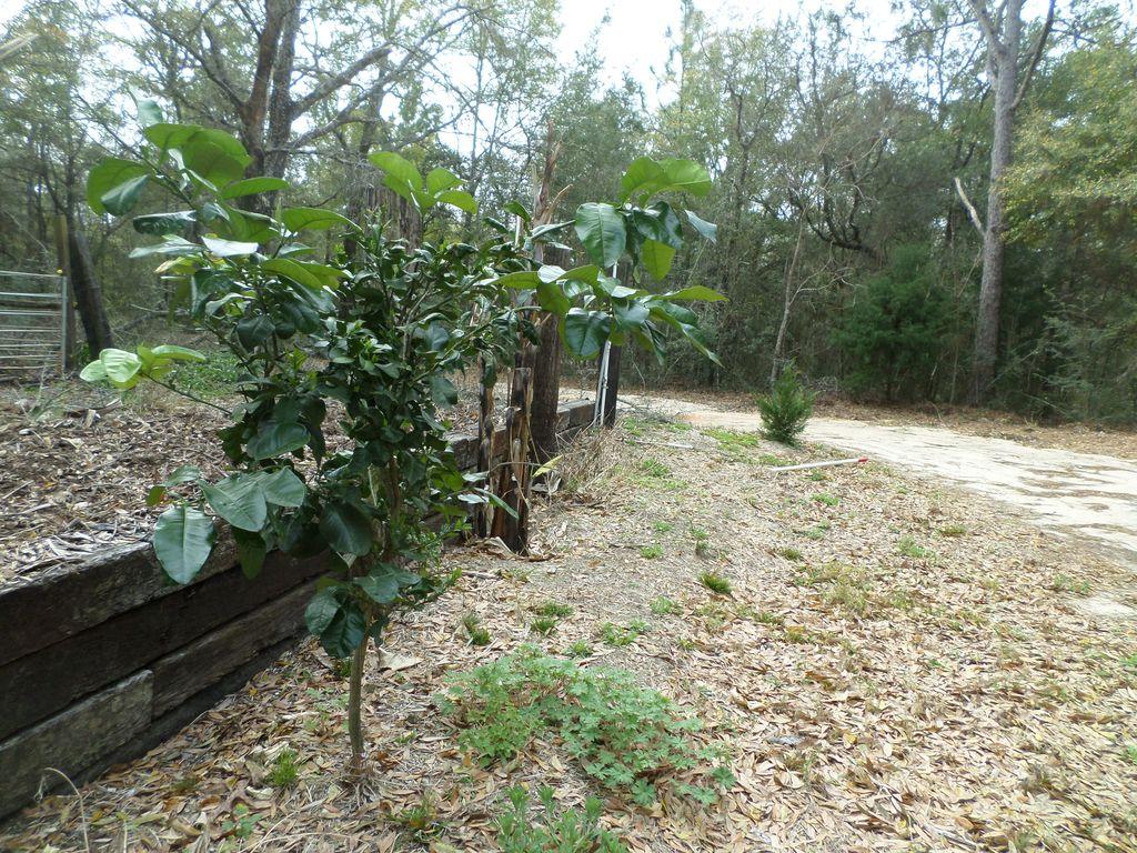 NONESUCH WAY - Residential