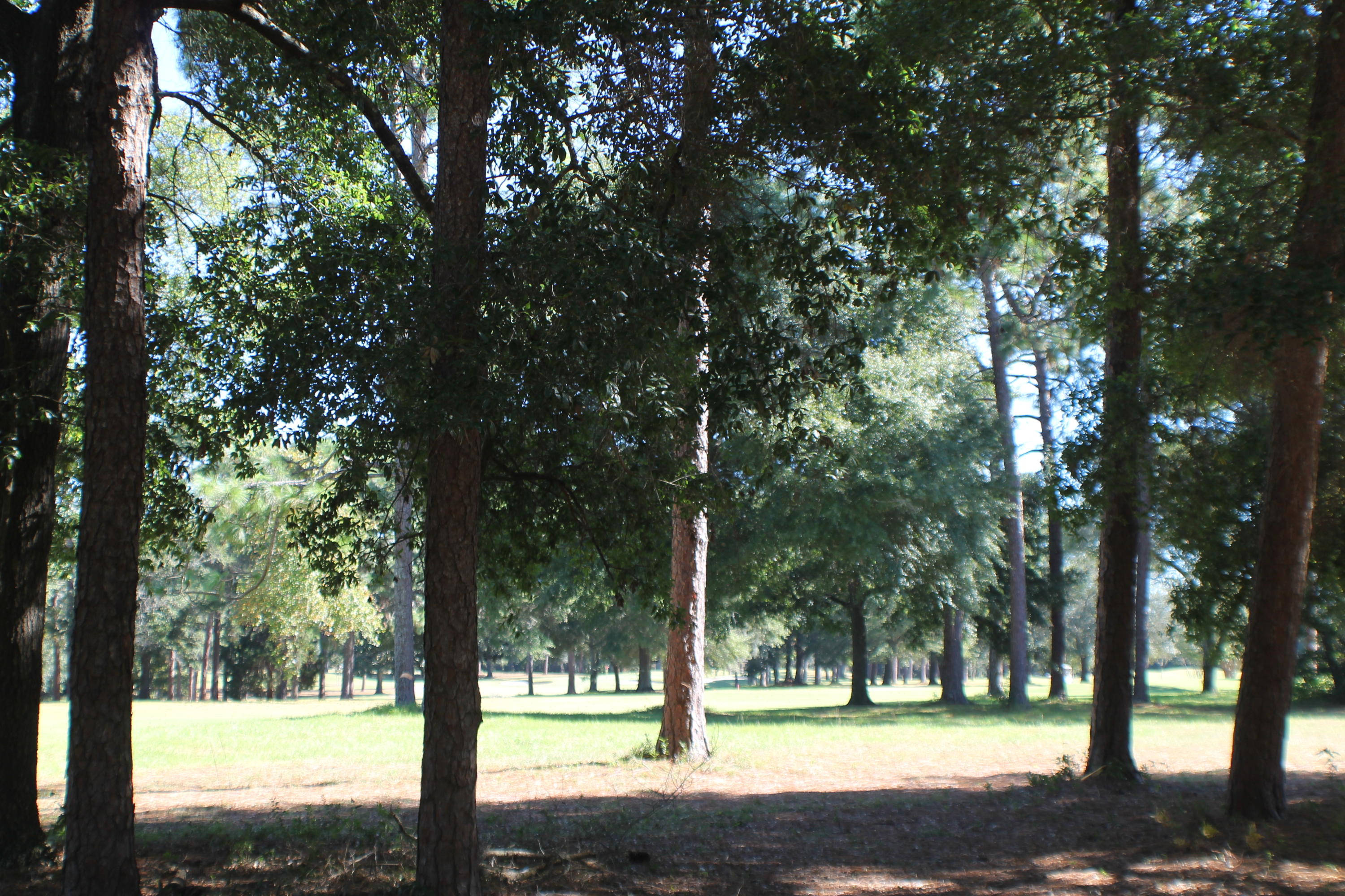 Rocky Bayou CC - Residential