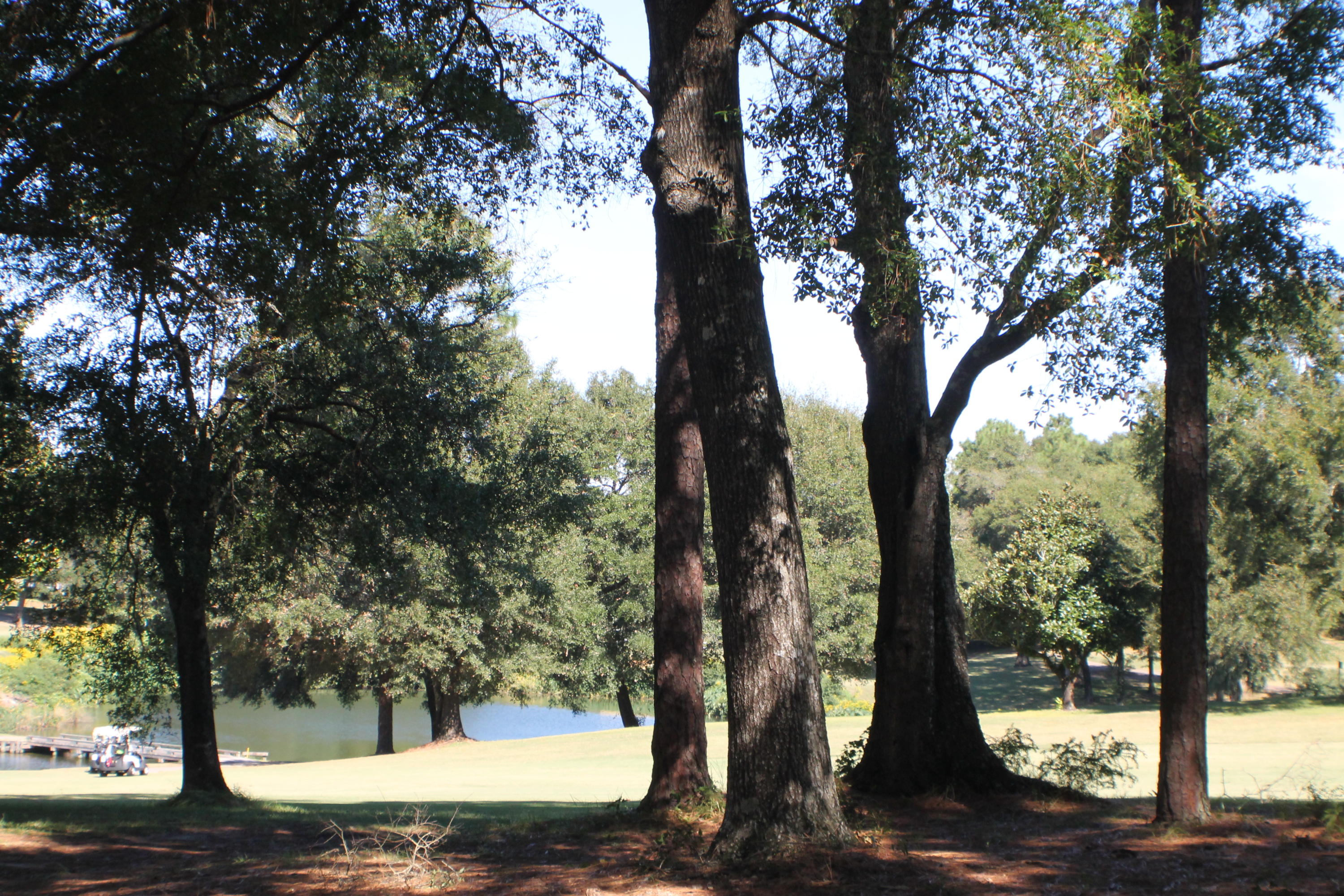 Rocky Bayou CC - Residential