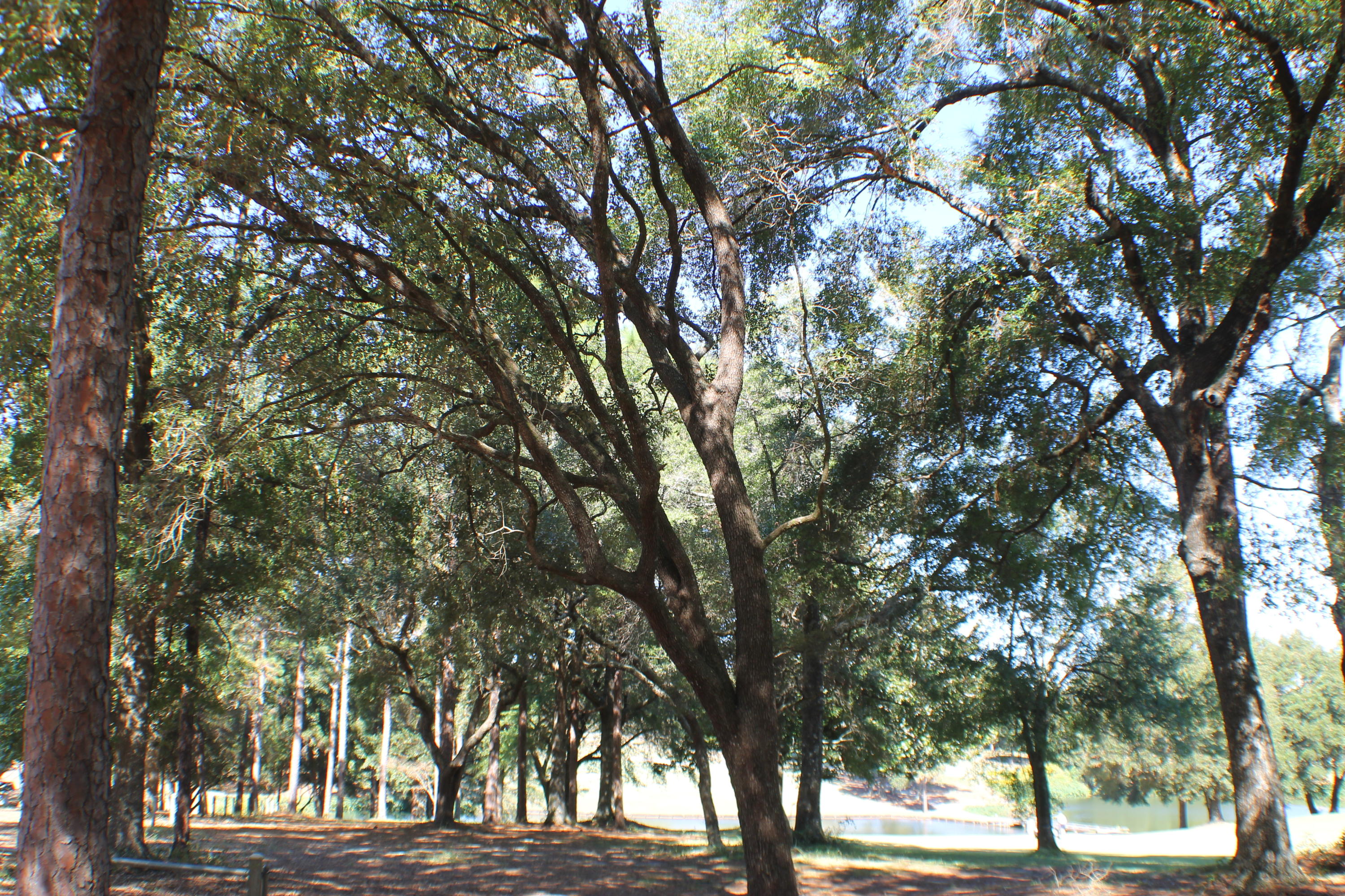 Rocky Bayou CC - Residential