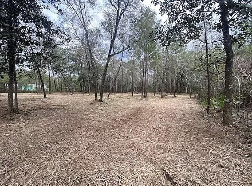3.23 acres with a Pole barn with slab, power, tvs, water already in place. 1.2 of the 3.23 acres are cleared outside the wetland. Trout creek is the western border and flows right to the bay. Permitted already for a 1300-gallon septic system. Pole barn will need the 12x24 apartment that is already permitted to be completed to transfer from temp to permanent power.