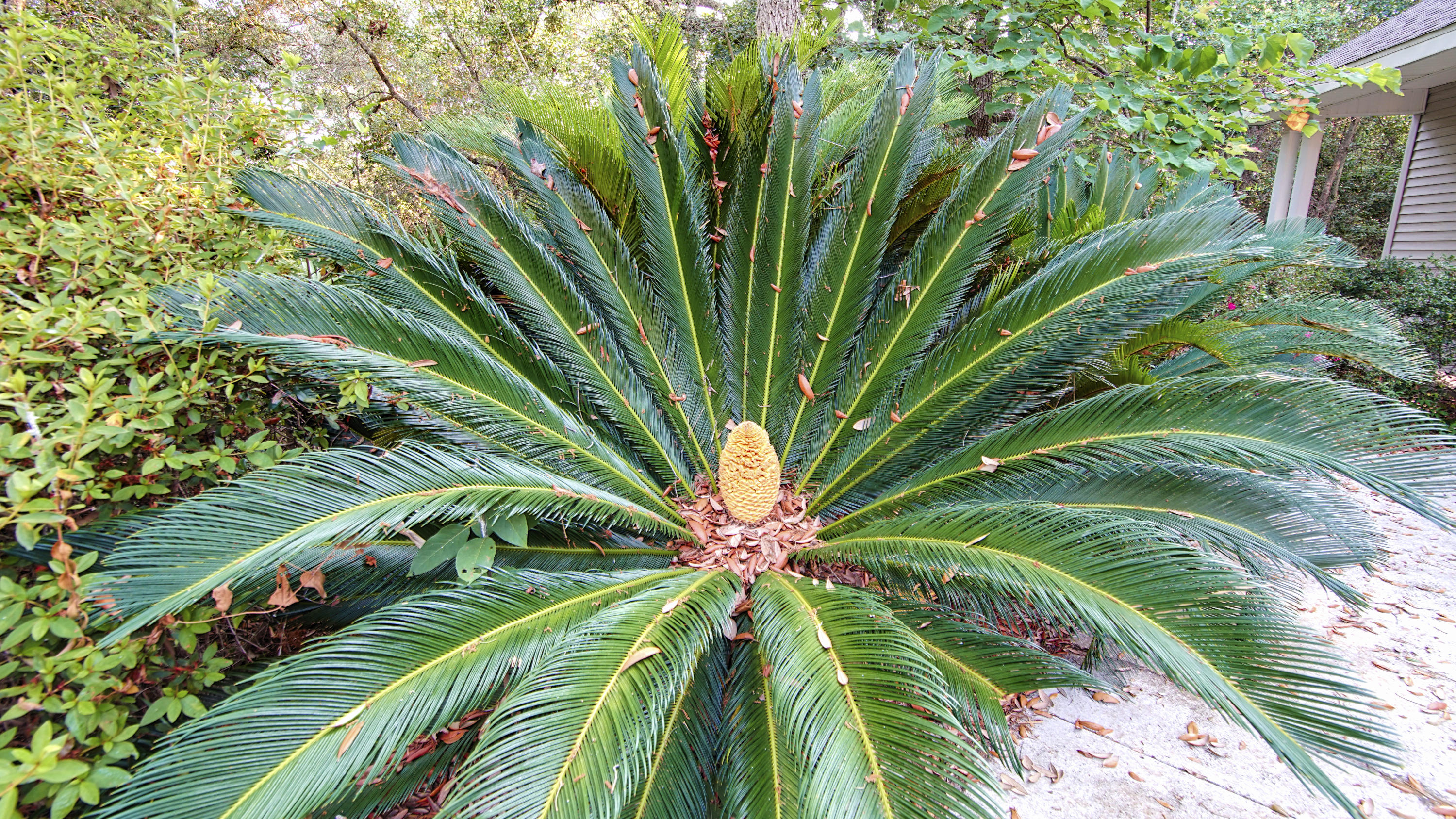 DAVID'S LANDING - Residential